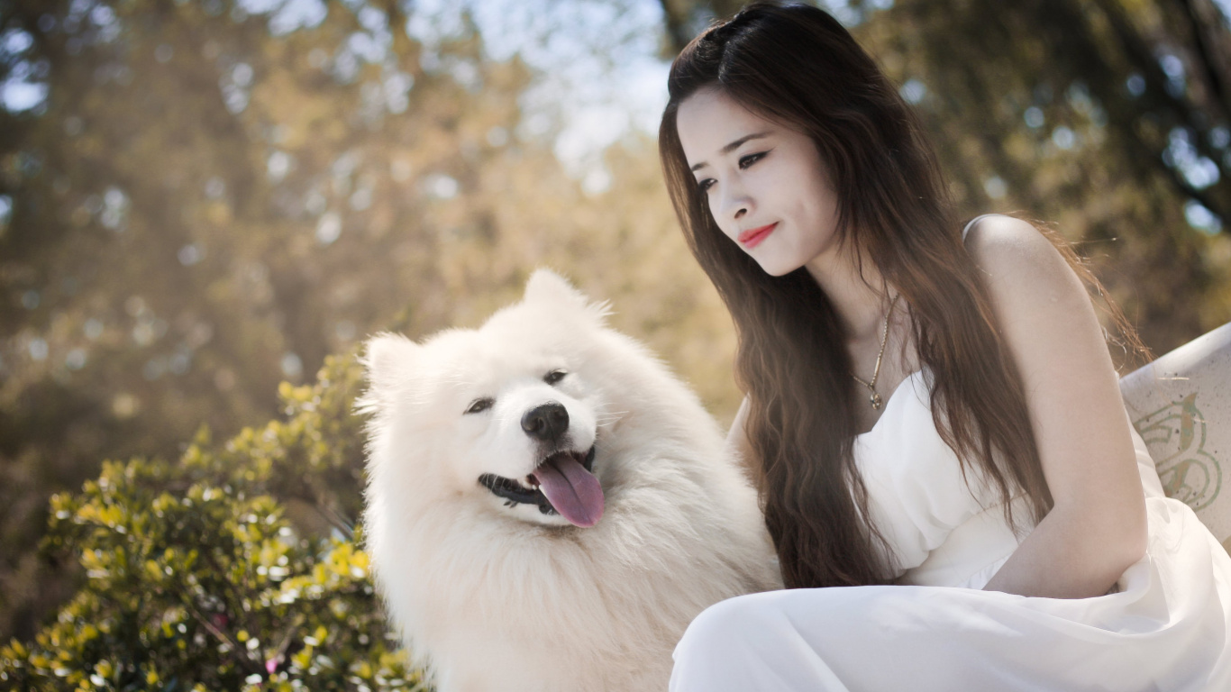 Обои пес, Псовые, самоед, собака породы, кожа в разрешении 1366x768