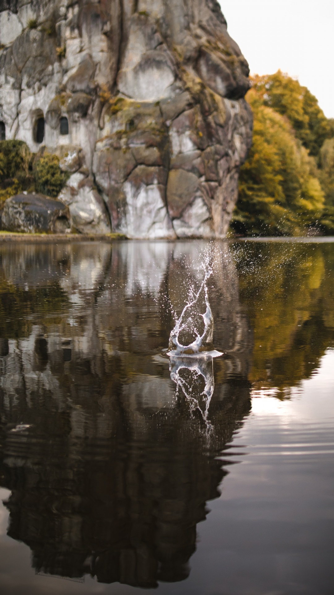 Обои отражение, дерево, рок, природа, Токио Skytree в разрешении 1080x1920