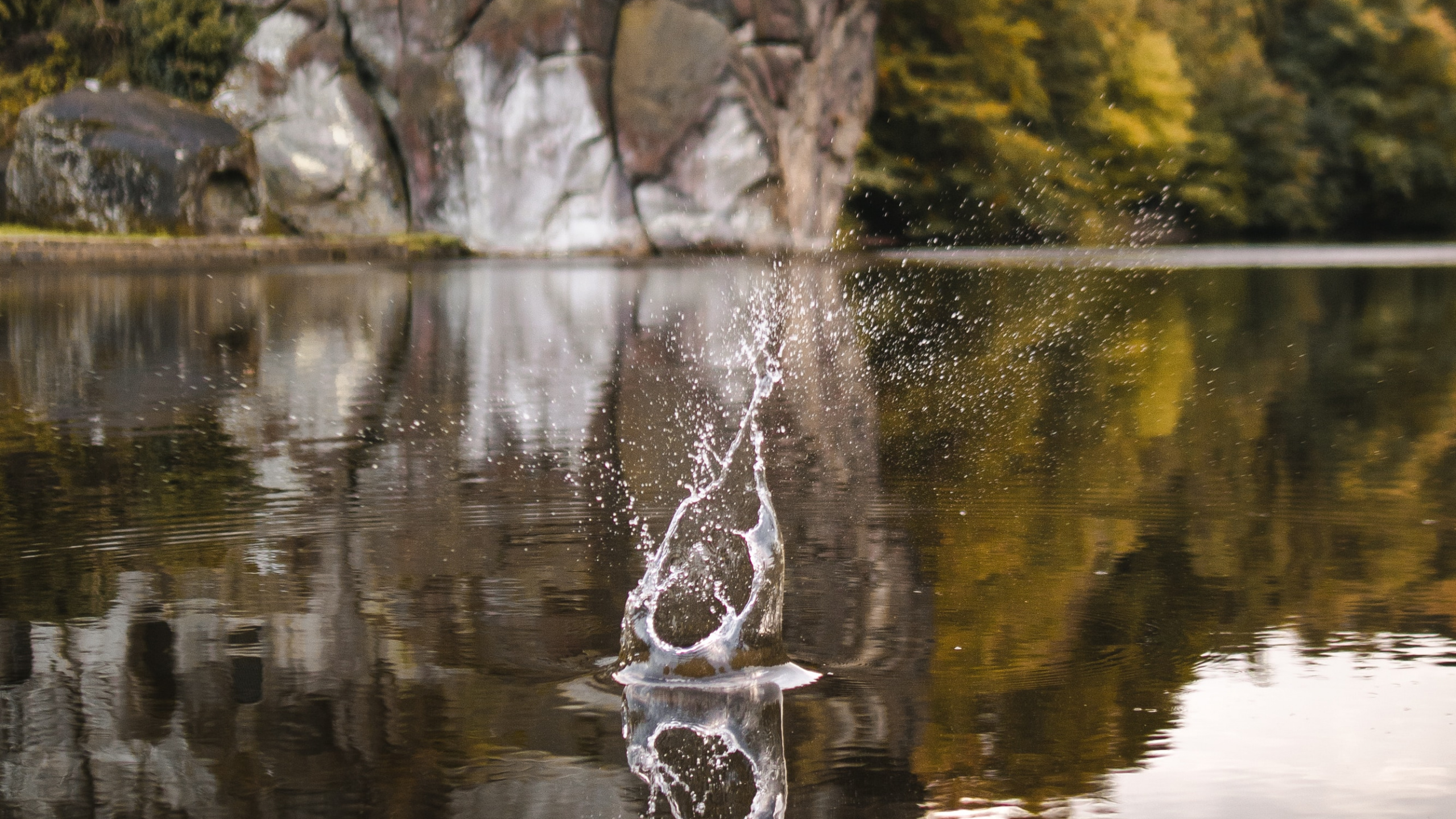 Обои отражение, дерево, рок, природа, Токио Skytree в разрешении 2560x1440