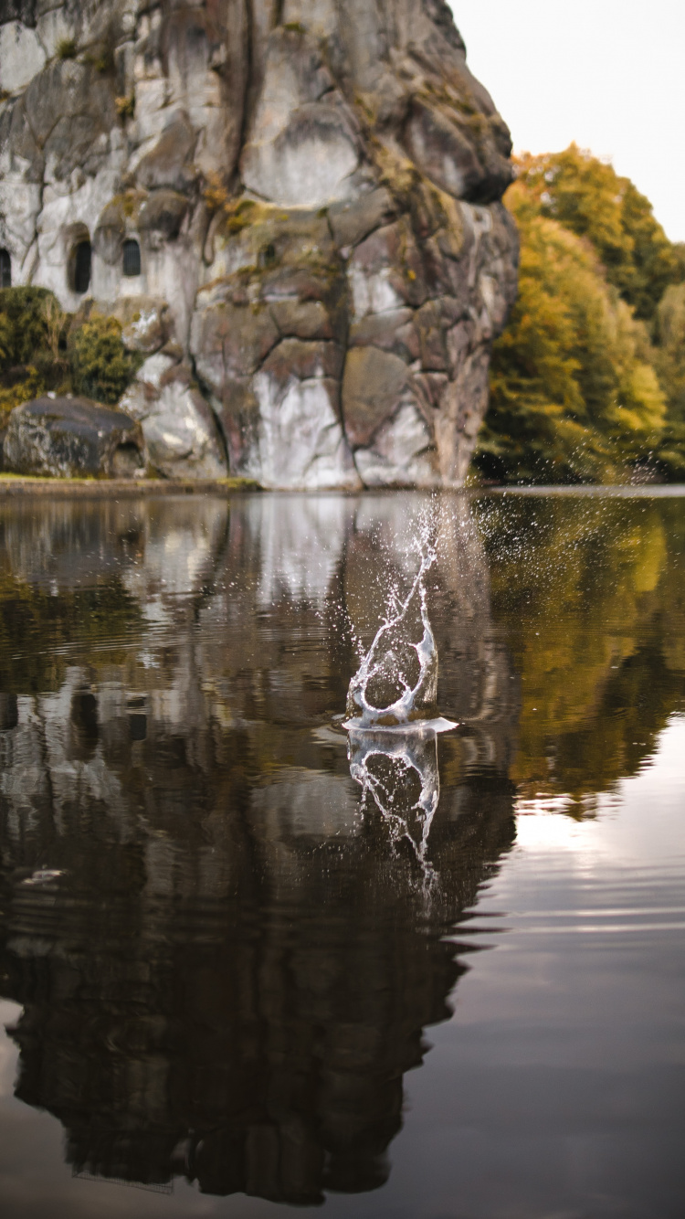 Обои отражение, дерево, рок, природа, Токио Skytree в разрешении 750x1334