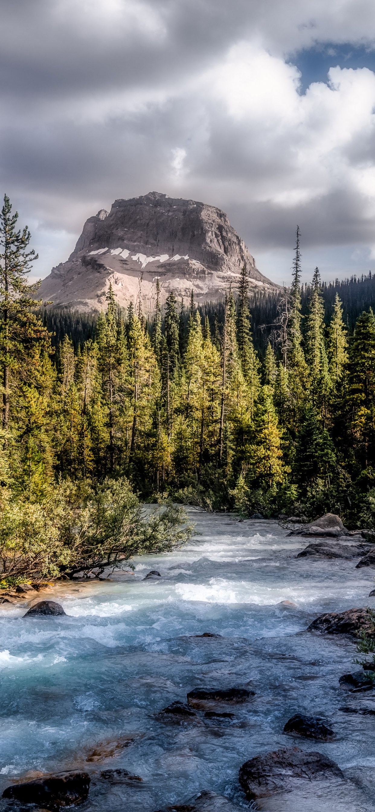 Обои облако, вода, растение, гидроресурсы, гора в разрешении 1242x2688