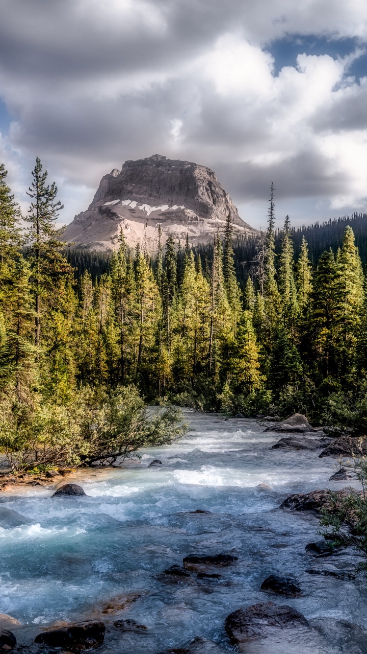 Обои облако, вода, растение, гидроресурсы, гора в разрешении 720x1280