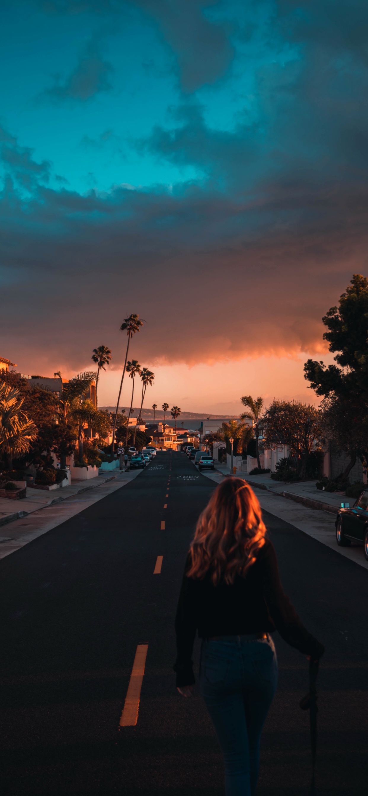 Обои Лос-Анджелес, облако, атмосфера, растение, послесвечение в разрешении 1242x2688