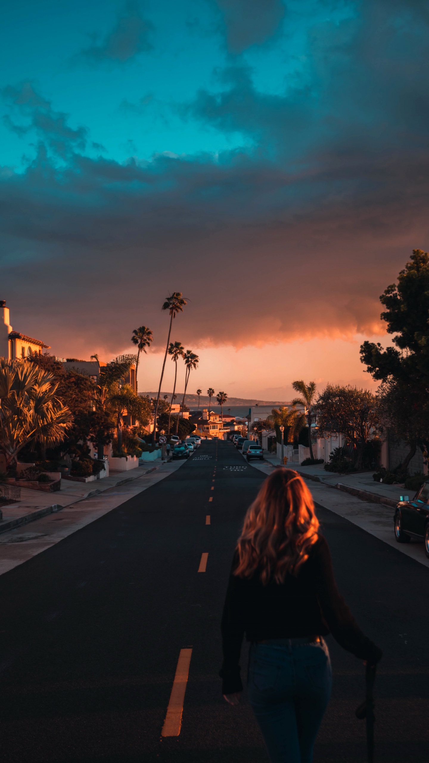 Обои Лос-Анджелес, облако, атмосфера, растение, послесвечение в разрешении 1440x2560