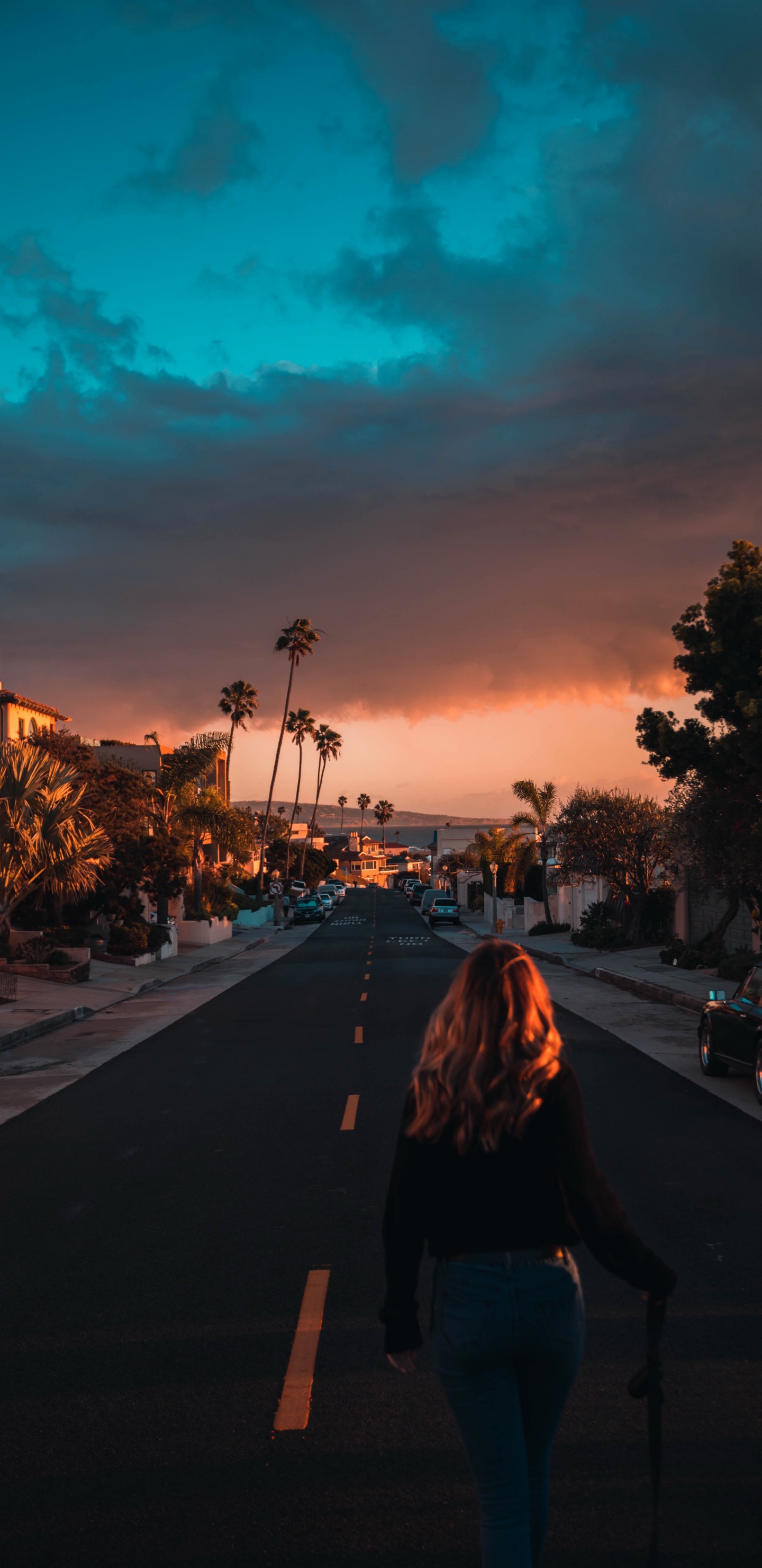 Обои Лос-Анджелес, облако, атмосфера, растение, послесвечение в разрешении 1440x2960