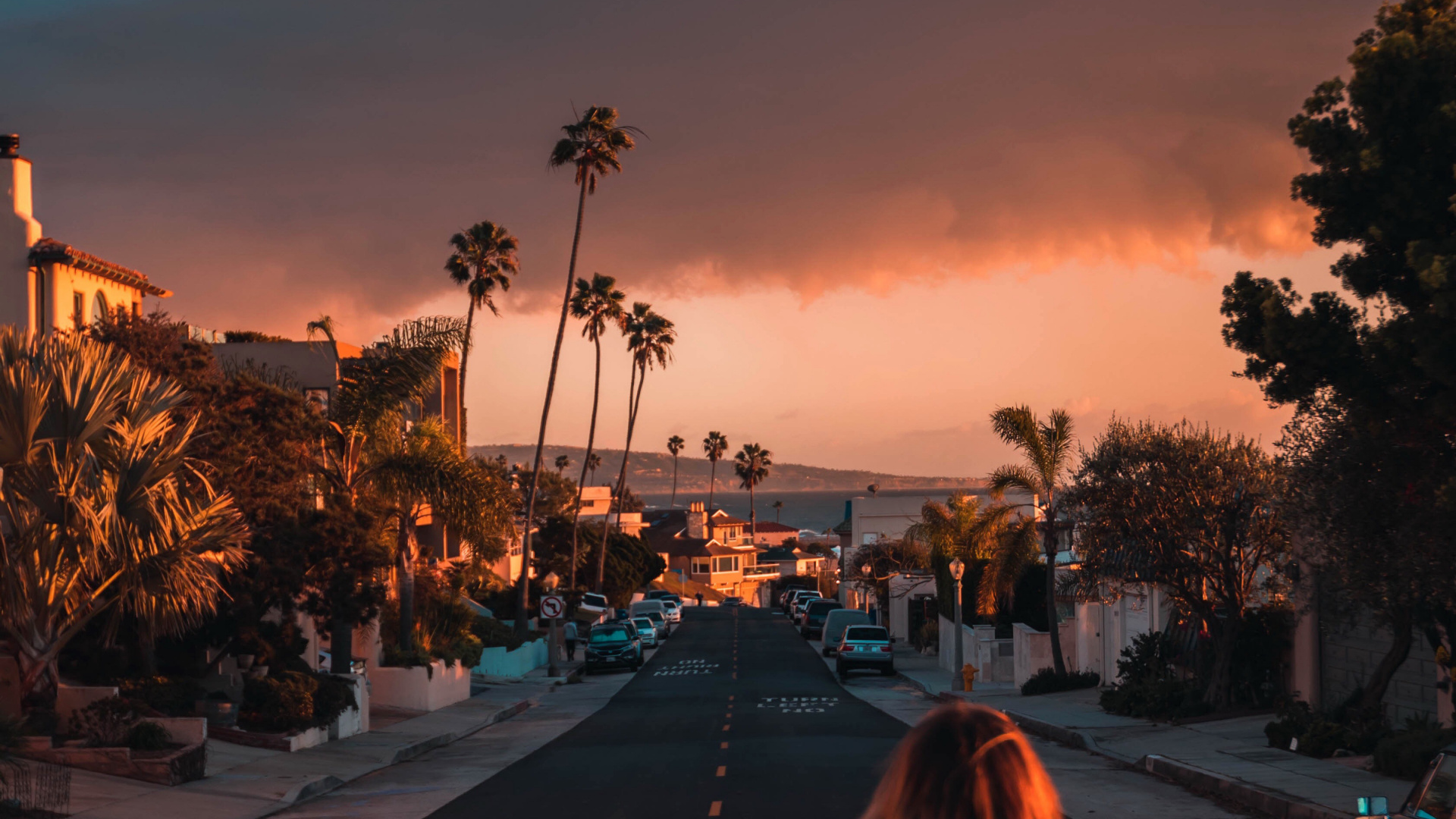 Обои Лос-Анджелес, облако, атмосфера, растение, послесвечение в разрешении 1920x1080