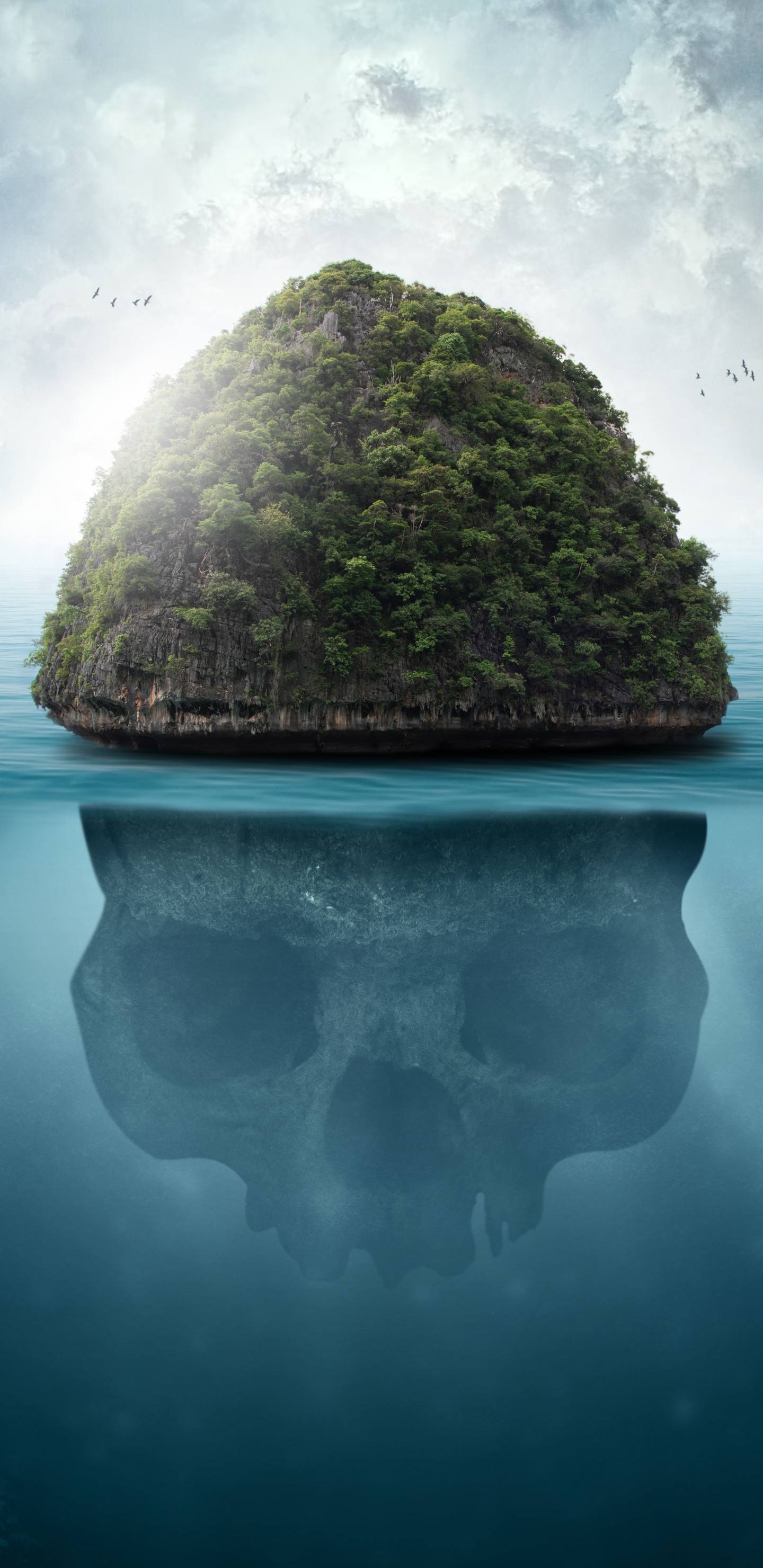 Обои Остров Черепа, природа, природный ландшафт, рок, океан в разрешении 1440x2960