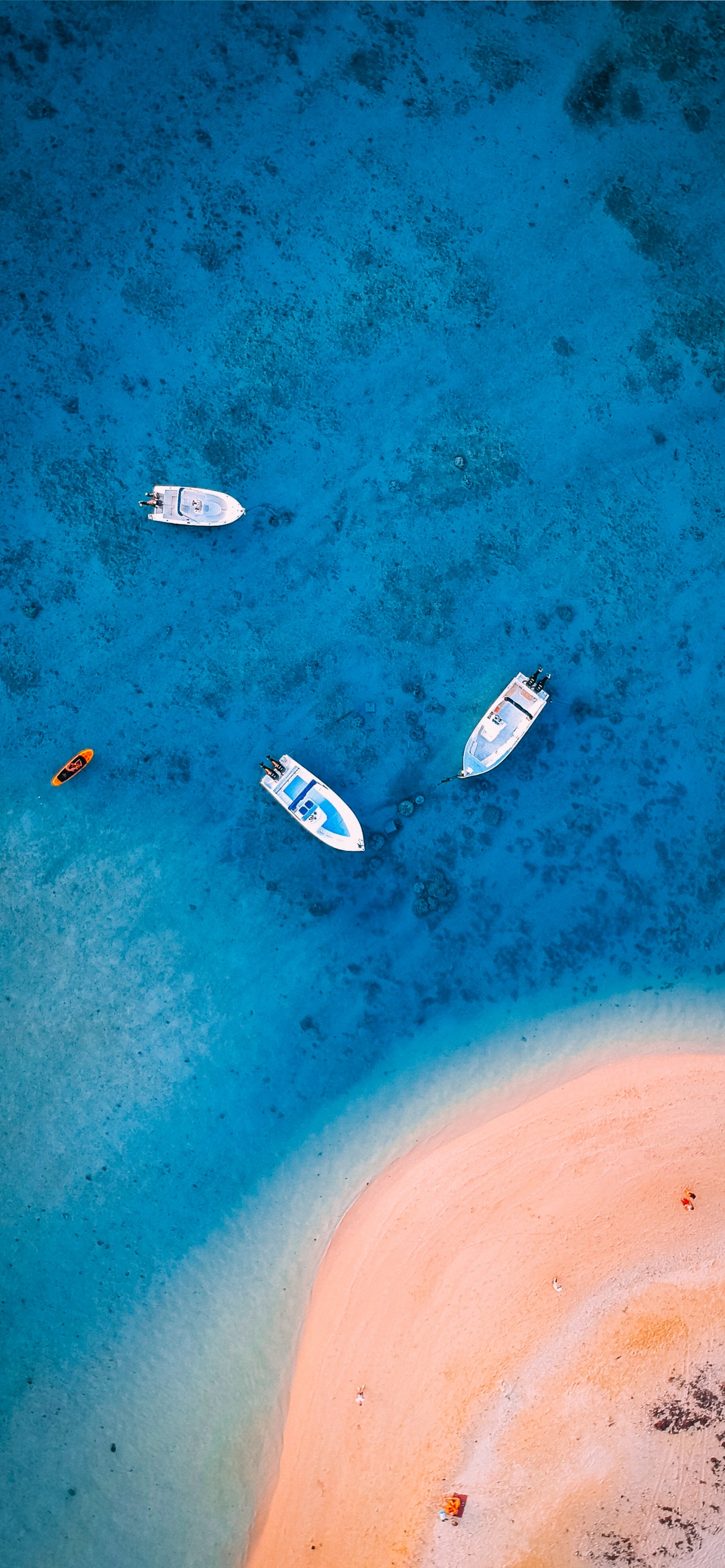 Обои вода, стена, капюшон, природа, водоем в разрешении 1242x2688