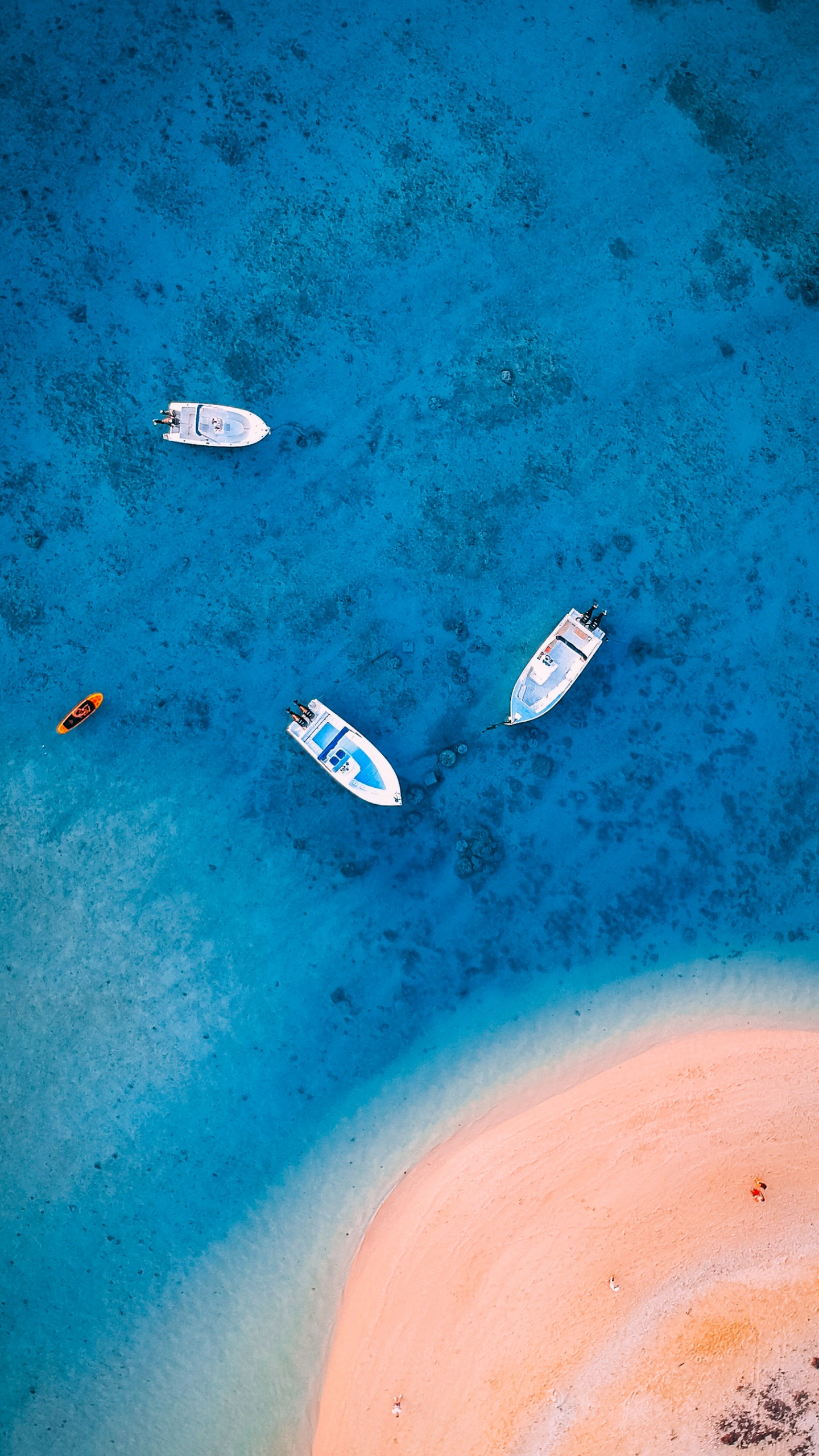 Обои вода, стена, капюшон, природа, водоем в разрешении 1440x2560