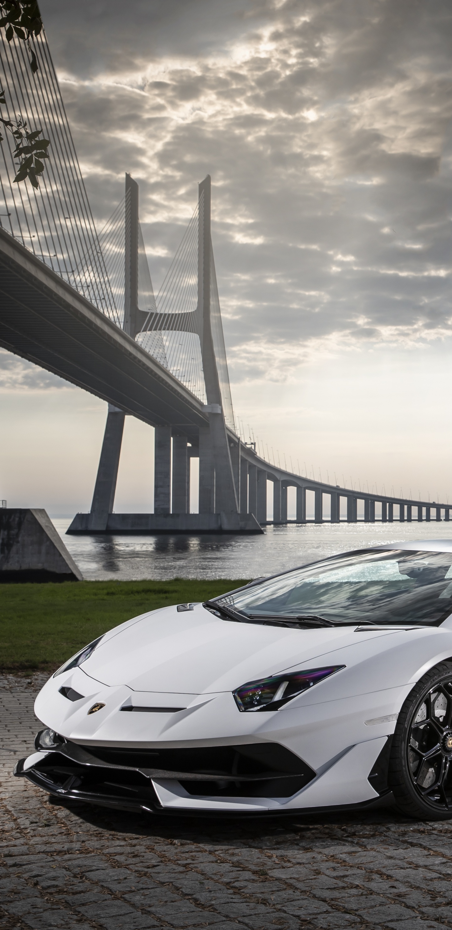 Обои Авентадор svj, спорткар, авто, Ламборджини, суперкар в разрешении 1440x2960