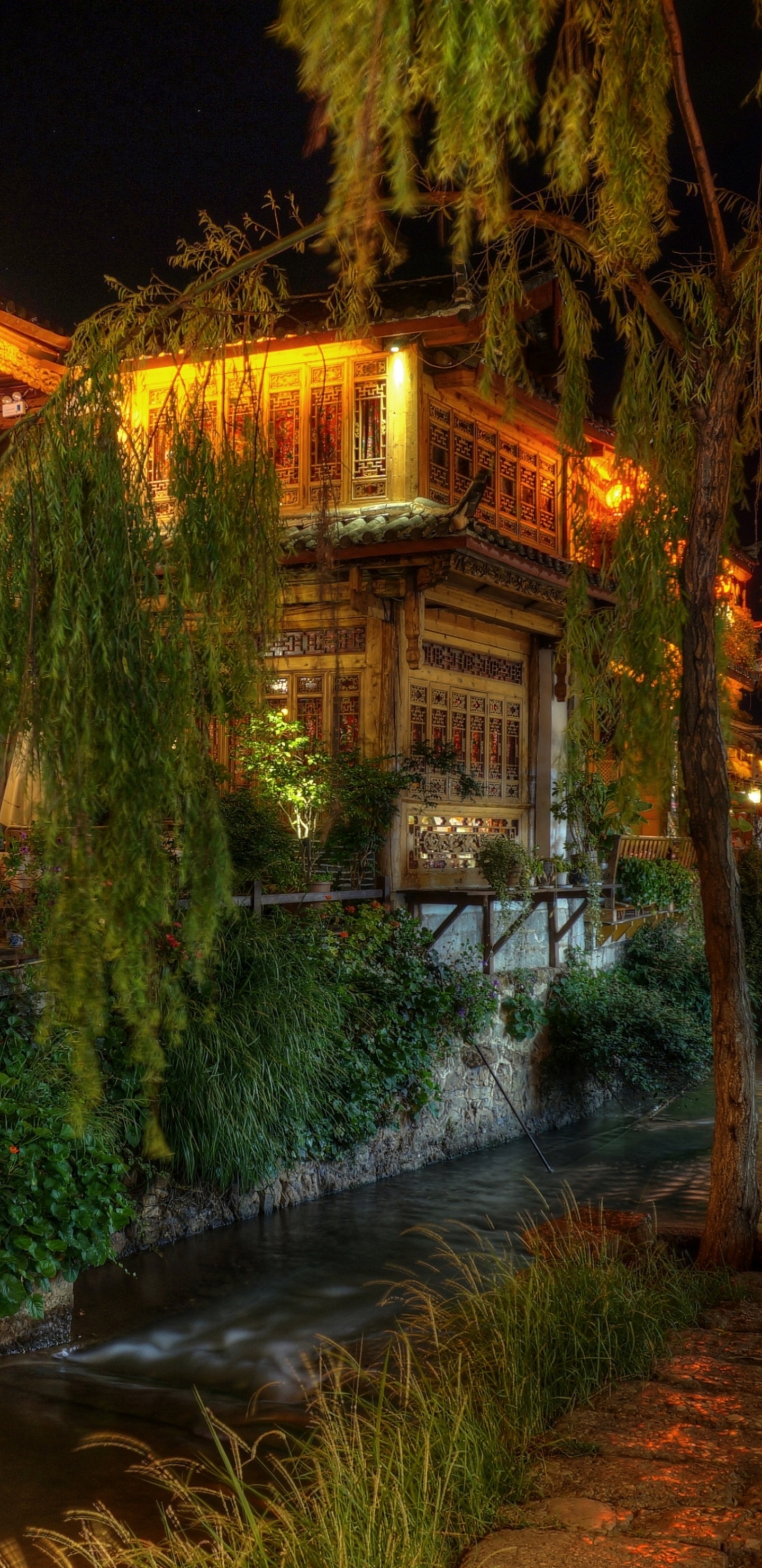 Обои Лиджанга, ночь, освещение, улица, дерево в разрешении 1440x2960