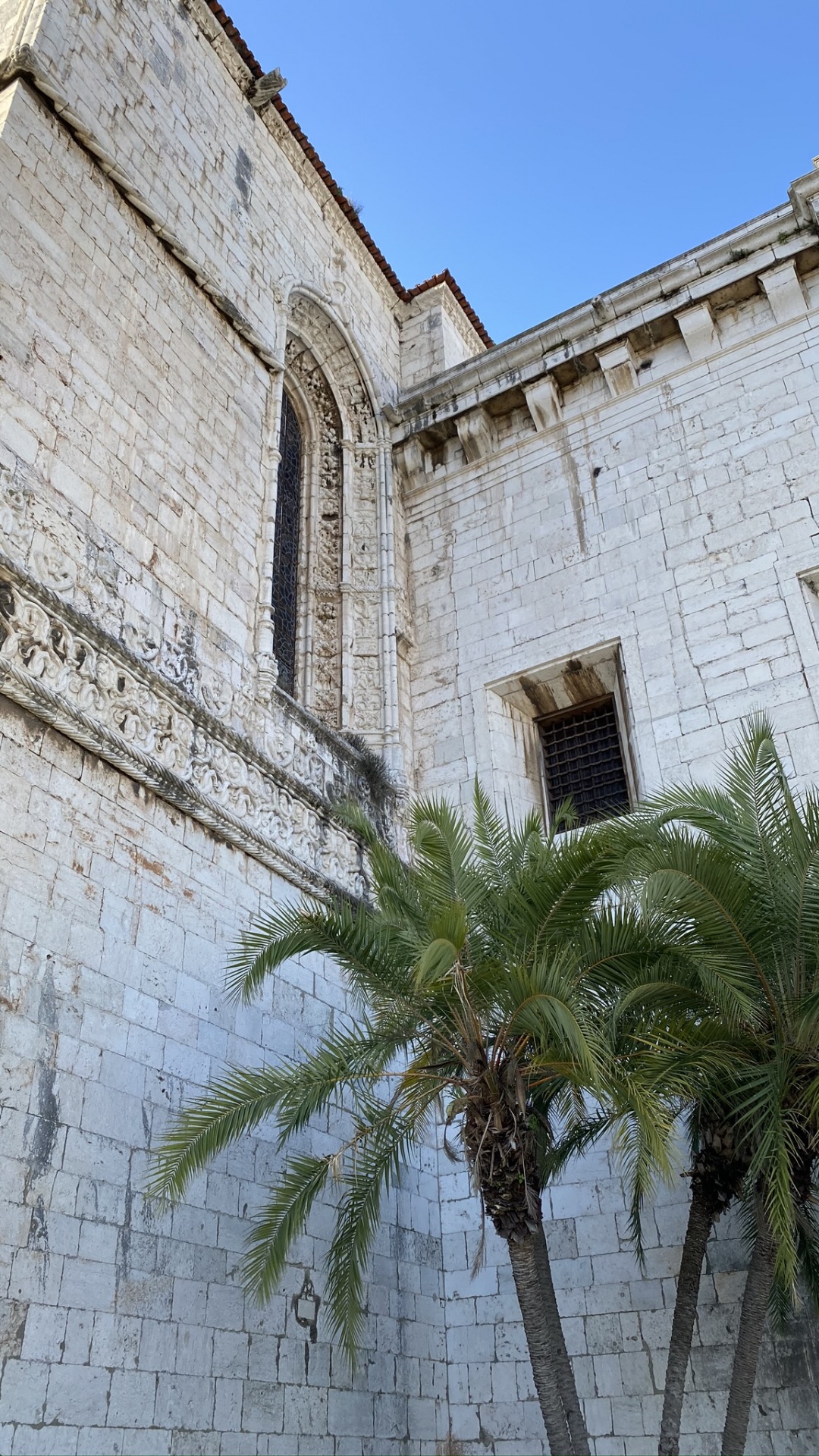 Обои стена, пальмовые рощи, древняя история, ориентир, Пальма в разрешении 1080x1920