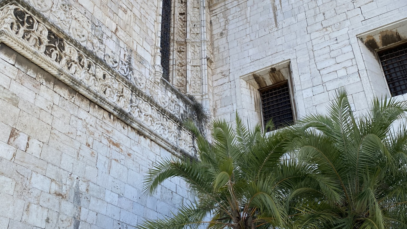 Обои стена, пальмовые рощи, древняя история, ориентир, Пальма в разрешении 1366x768