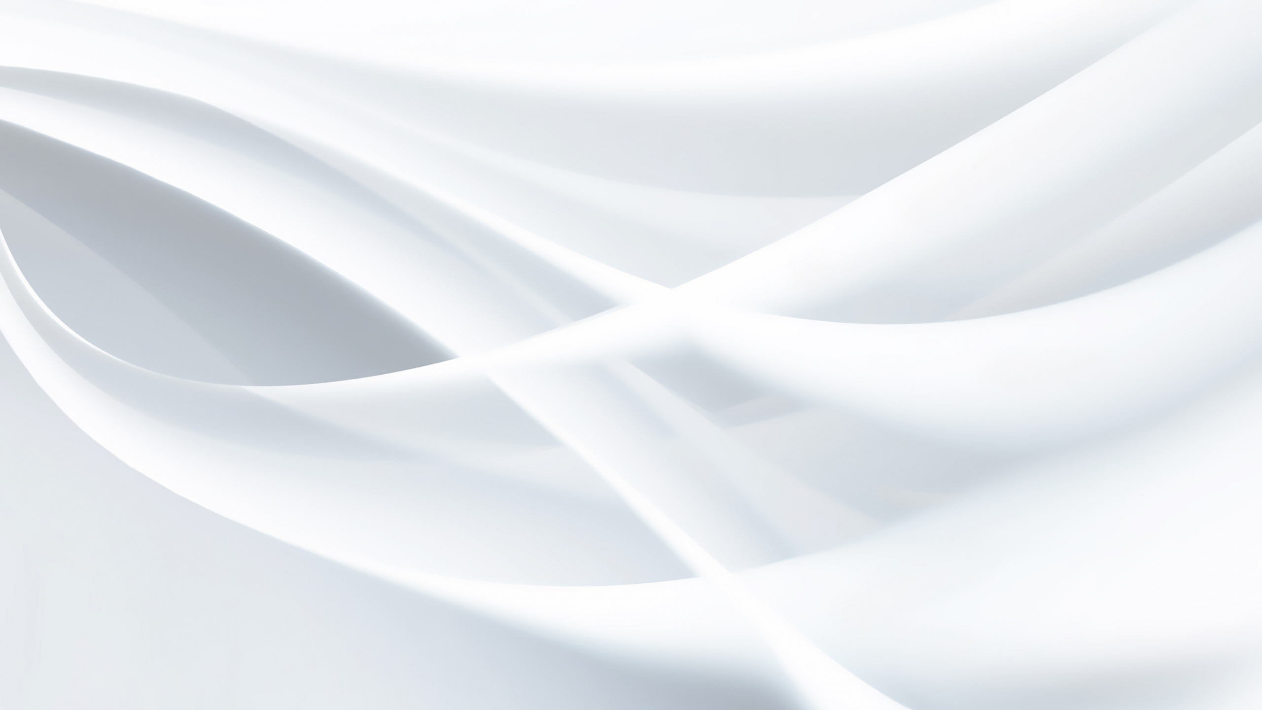 Обои белые, линия, дизайн, крупный план, угол в разрешении 2560x1440