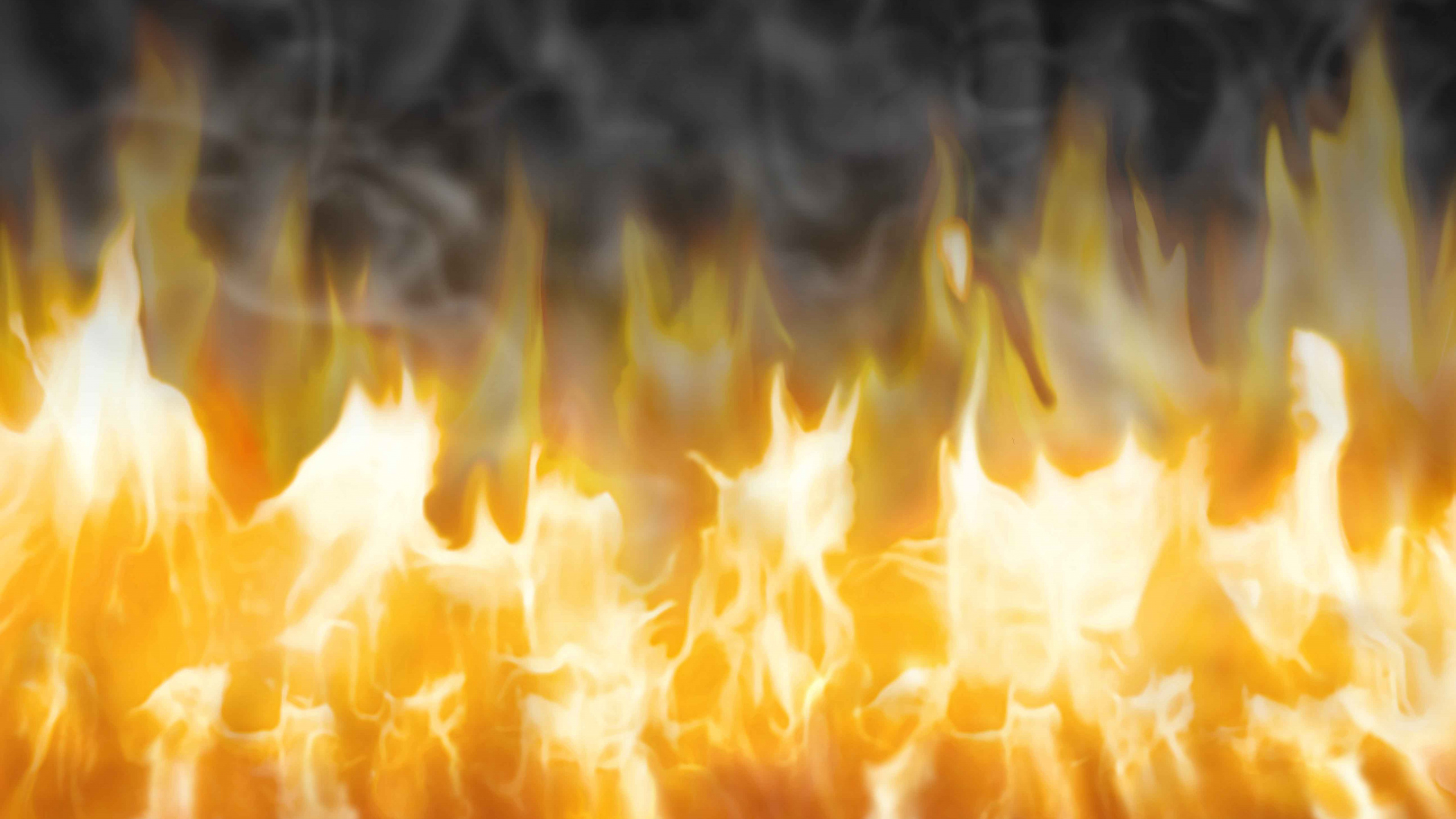 Обои пламя, огонь, сгорание, тепло, желтый в разрешении 2560x1440