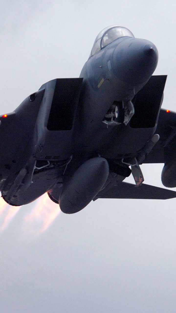 Обои военный самолет, самолет, самолеты, реактивный самолет, воздушные силы в разрешении 720x1280