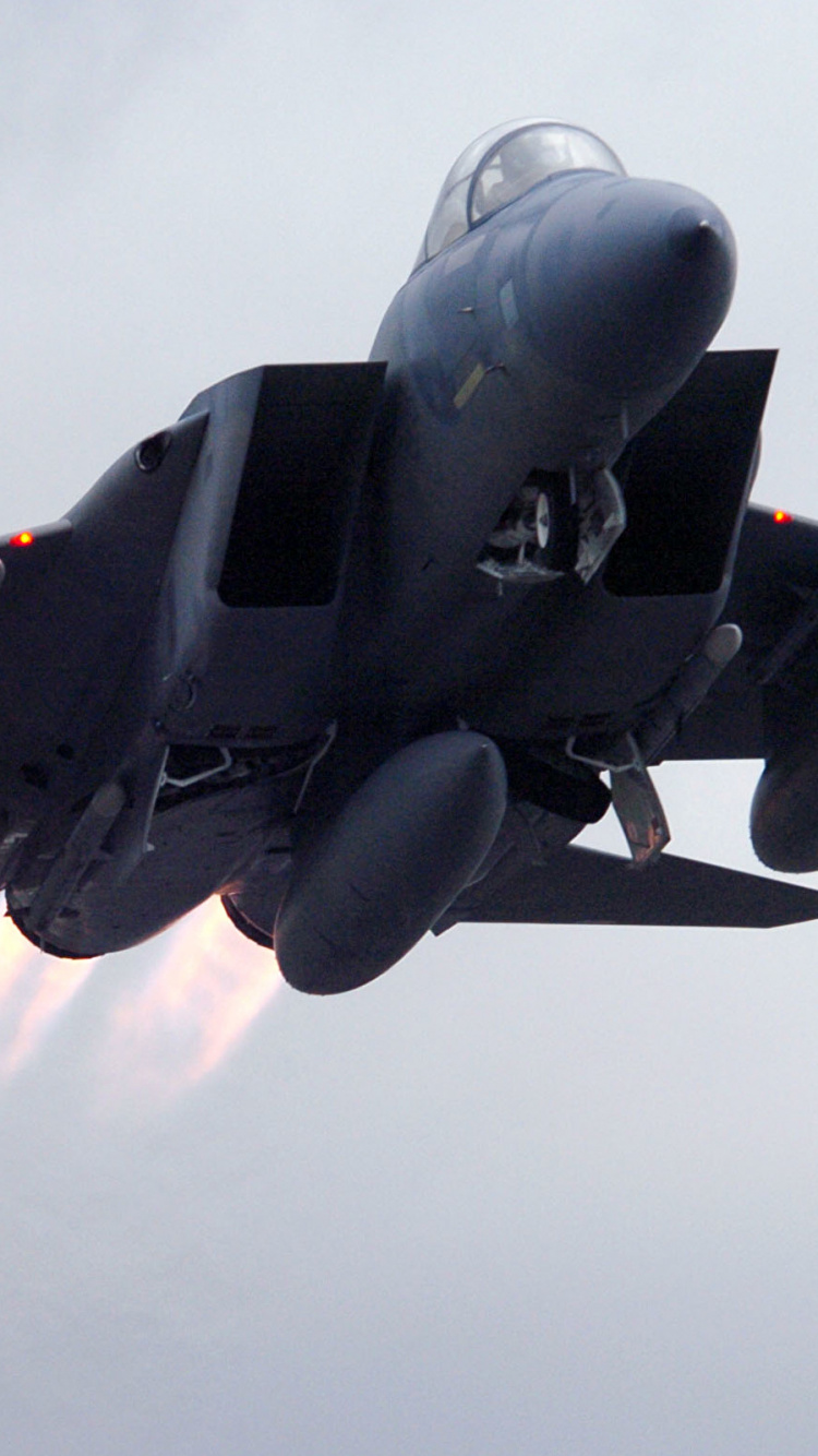 Обои военный самолет, самолет, самолеты, реактивный самолет, воздушные силы в разрешении 750x1334