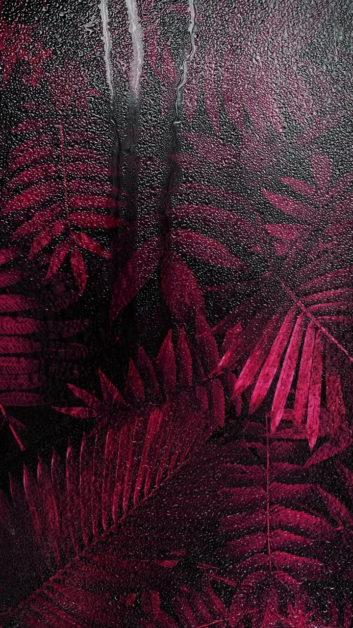 Обои визуальное искусство, цветной, арт, лист, наземное растение в разрешении 720x1280