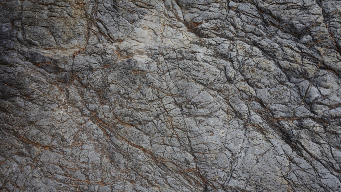 Обои рок, дерево, ветвь, геология, лес в разрешении 1366x768