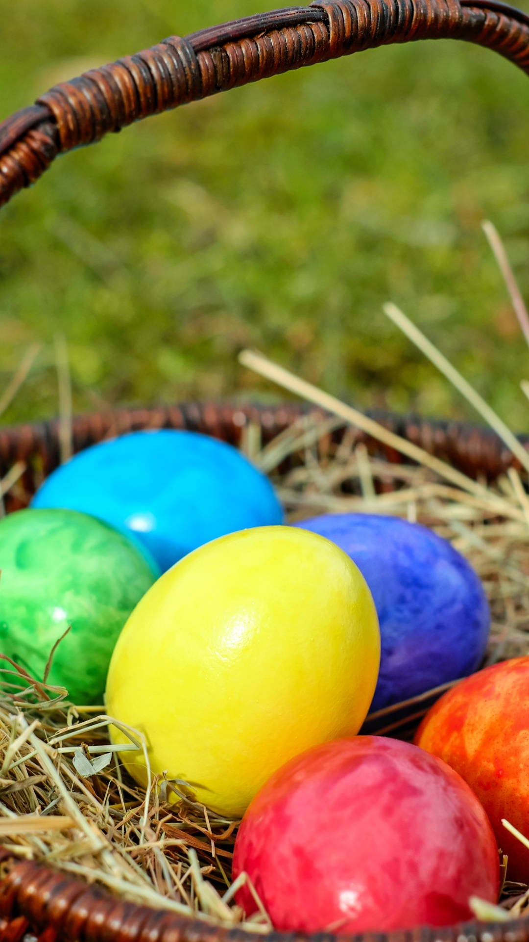 Обои пасхальный кролик, яйцо охоты, пасхальное яйцо, праздник, яйцо в разрешении 1080x1920