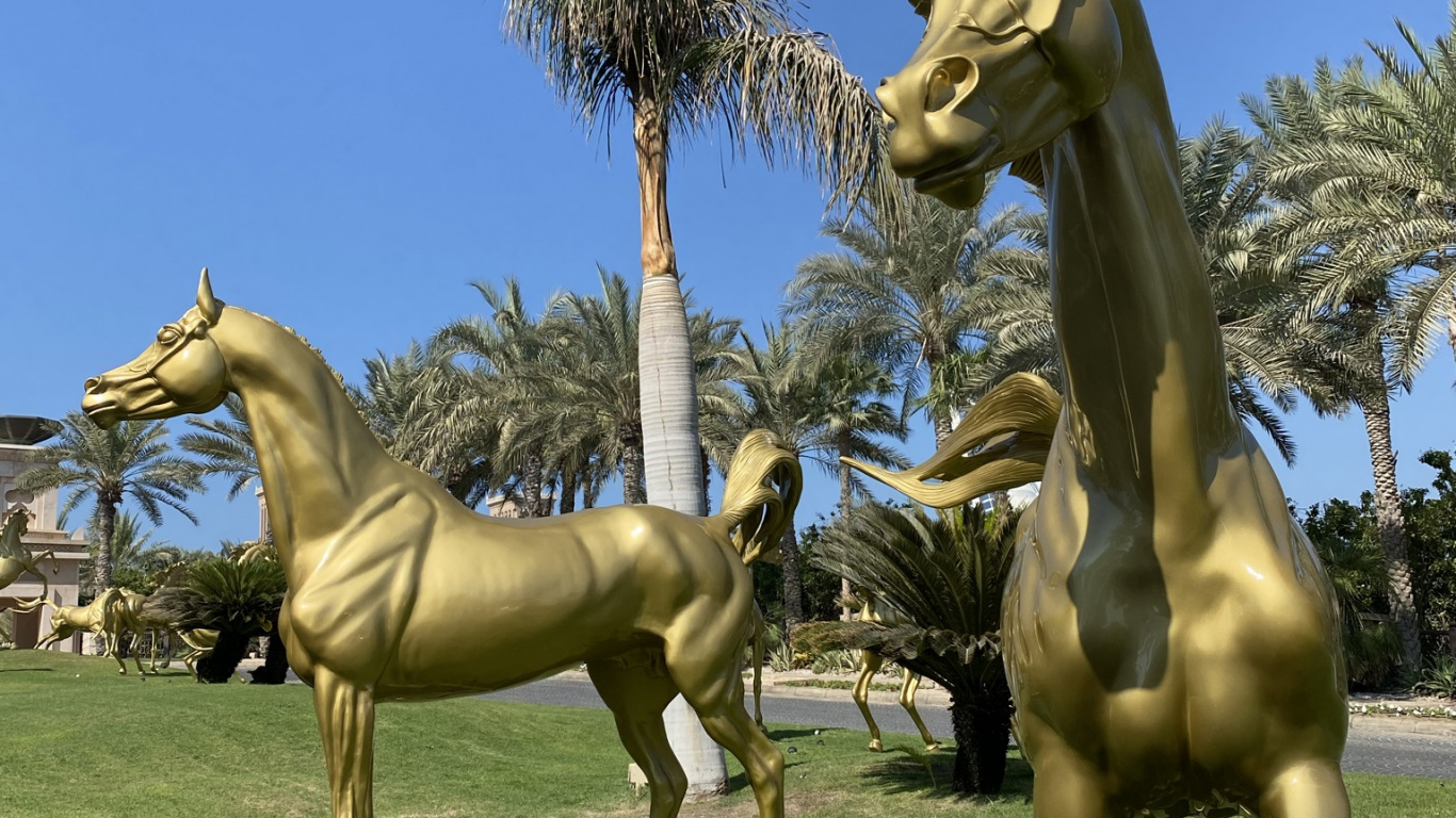 Обои жеребец, Мустанг, жеребенок, кобыла, экосистема в разрешении 1366x768