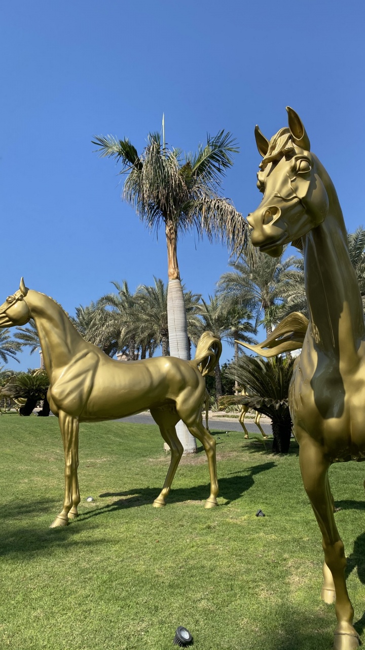 Обои жеребец, Мустанг, жеребенок, кобыла, экосистема в разрешении 720x1280