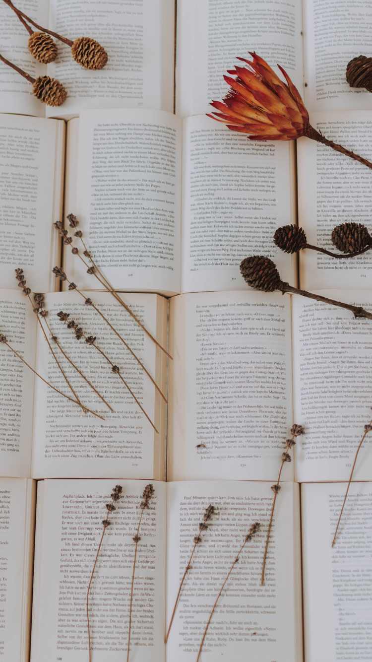 Обои прут, ботаники, семейство травы, ветвь, растение в разрешении 750x1334