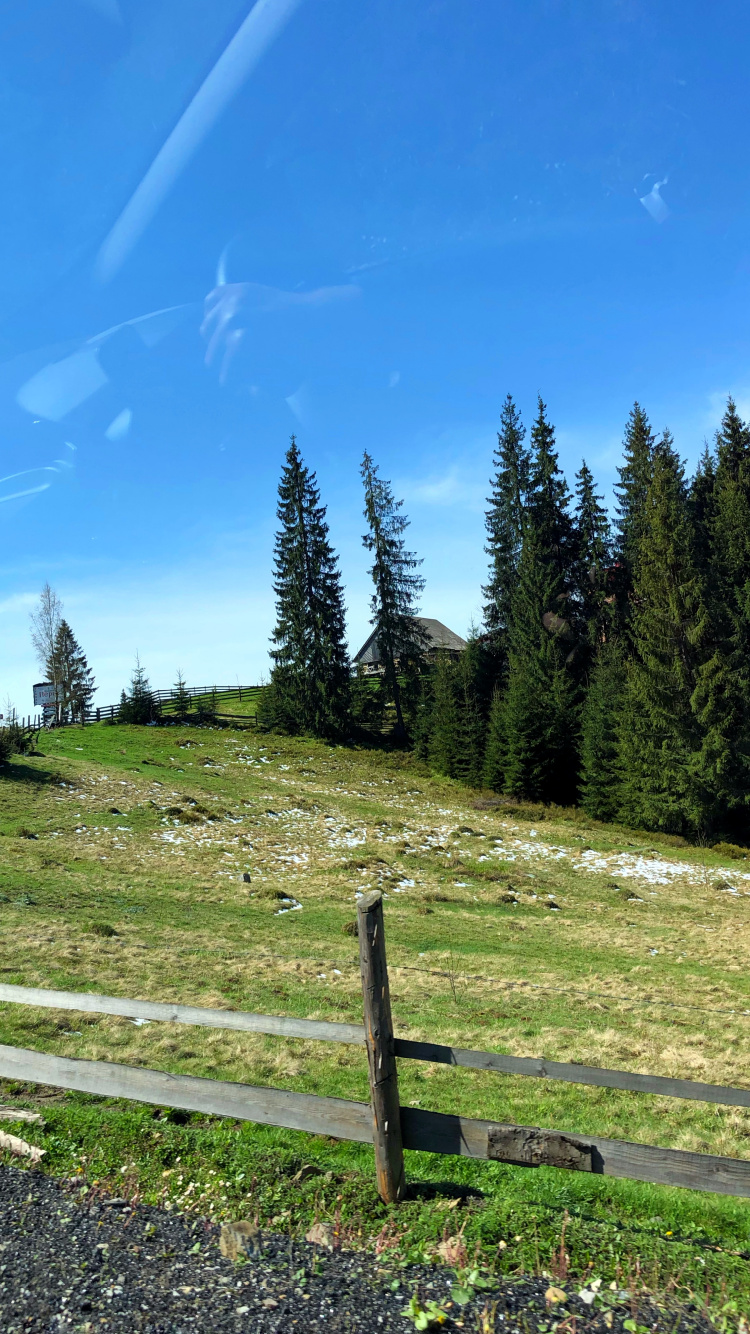 Обои водоем, дорога, горный рельеф, природа, растительность в разрешении 750x1334