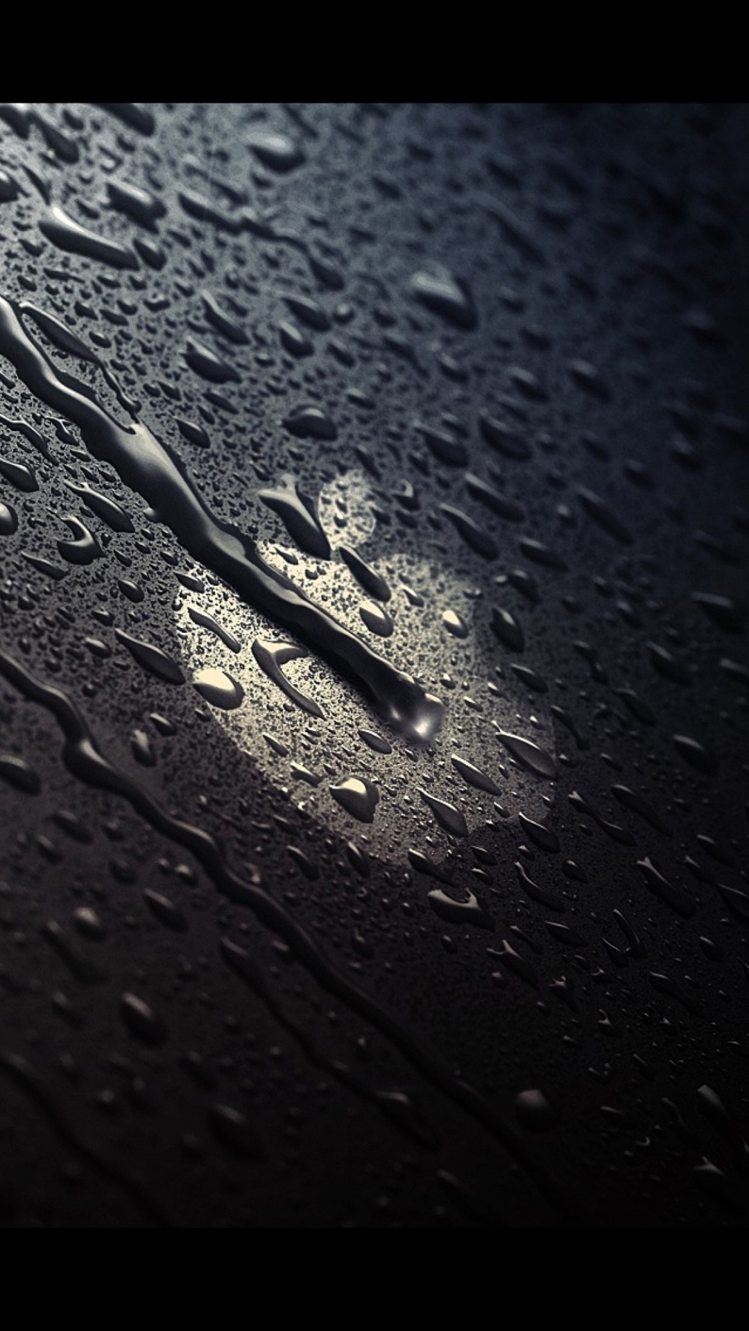 Обои apple, черный, вода, лист, монохромный в разрешении 1080x1920