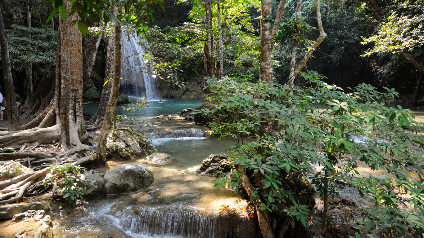Обои дерево, водопад, водоток, водоем, гидроресурсы в разрешении 1366x768