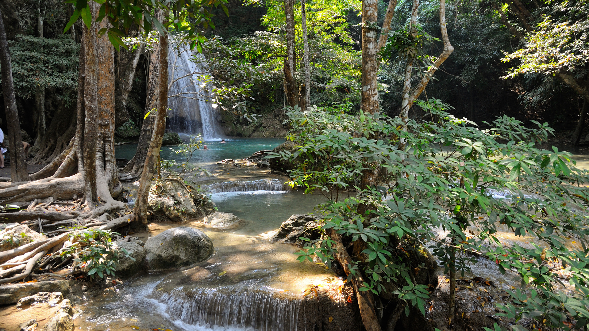 Обои дерево, водопад, водоток, водоем, гидроресурсы в разрешении 1920x1080