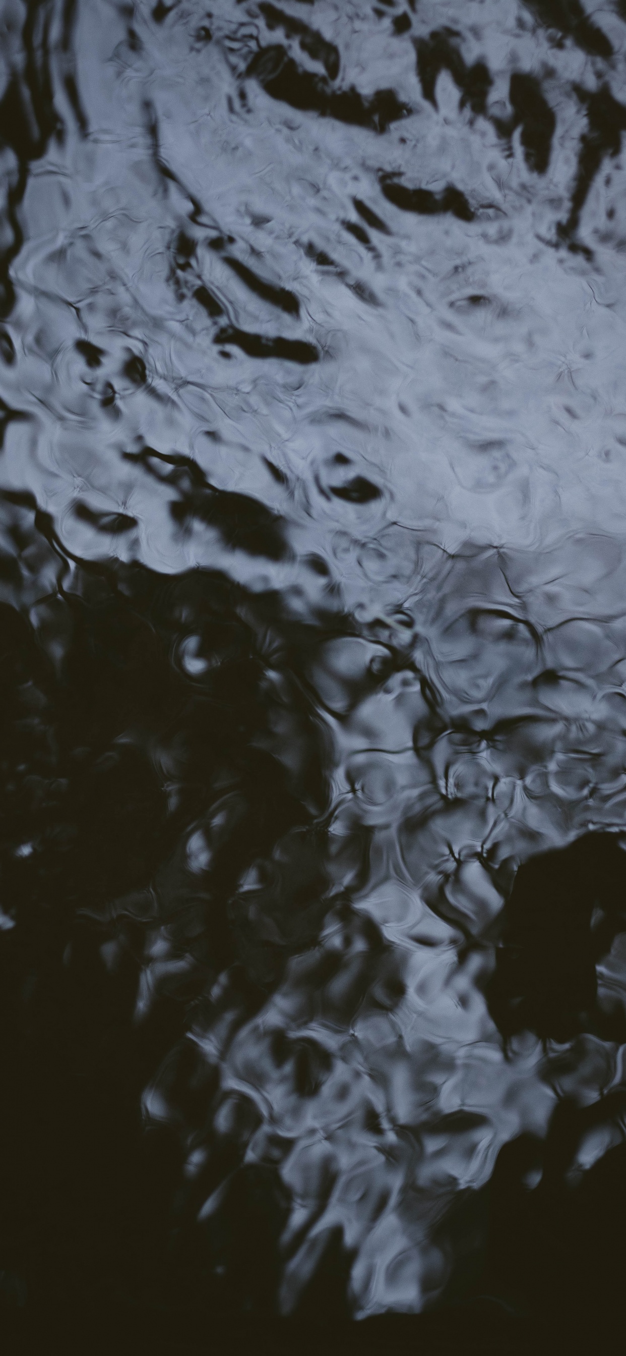 Обои вода, отражение, черный, дерево, монохромный в разрешении 1242x2688