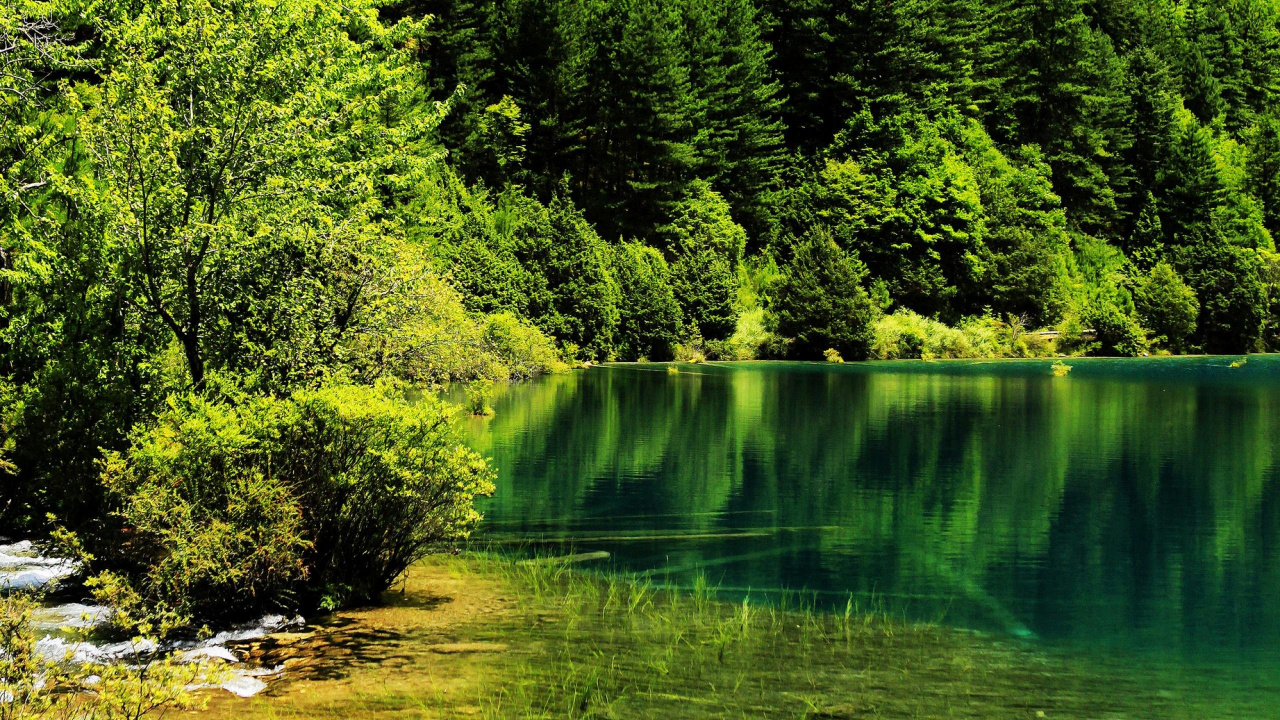 Обои национальный парк, природа, парк, зеленый, вода в разрешении 1280x720