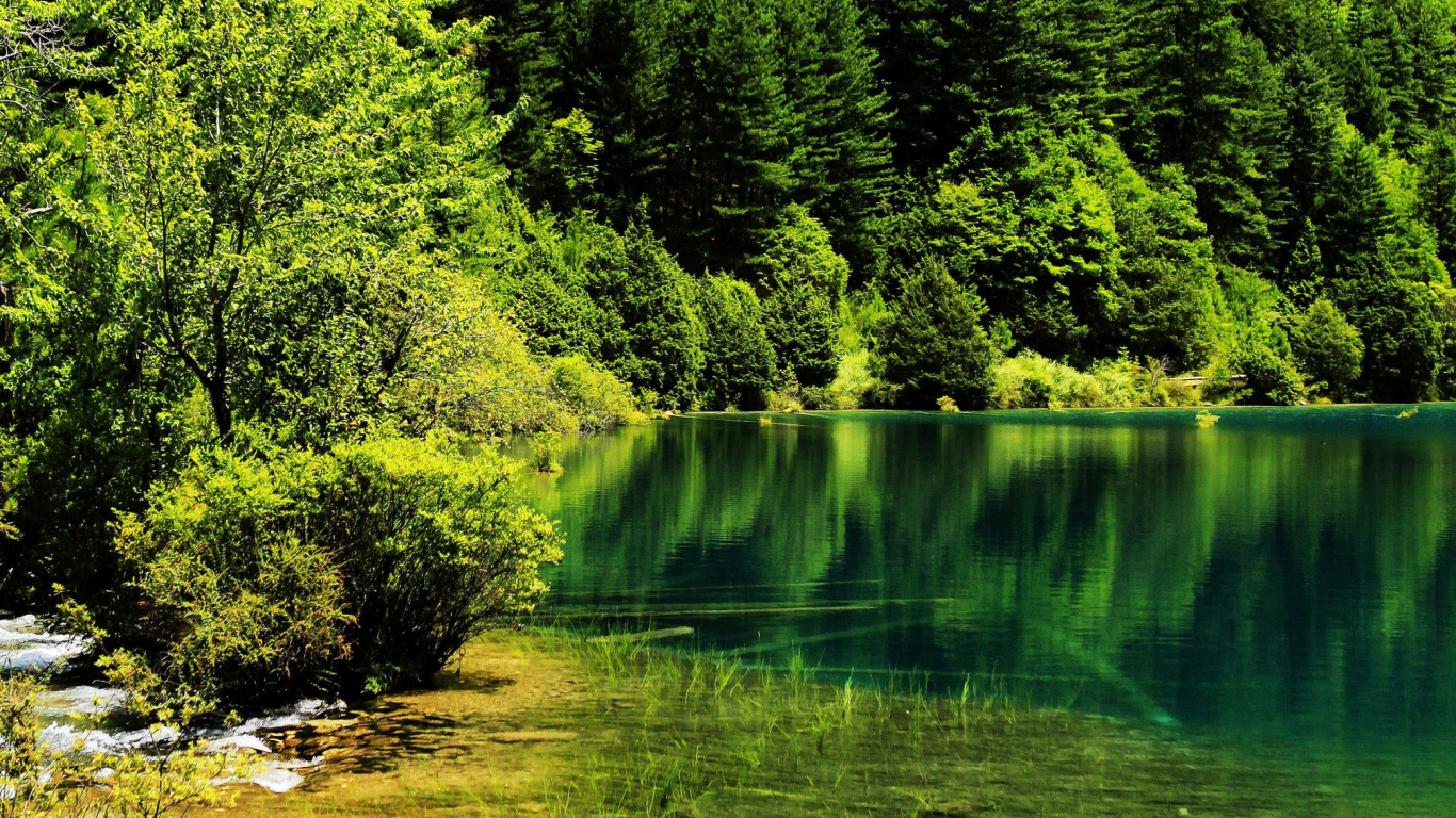 Обои национальный парк, природа, парк, зеленый, вода в разрешении 1366x768