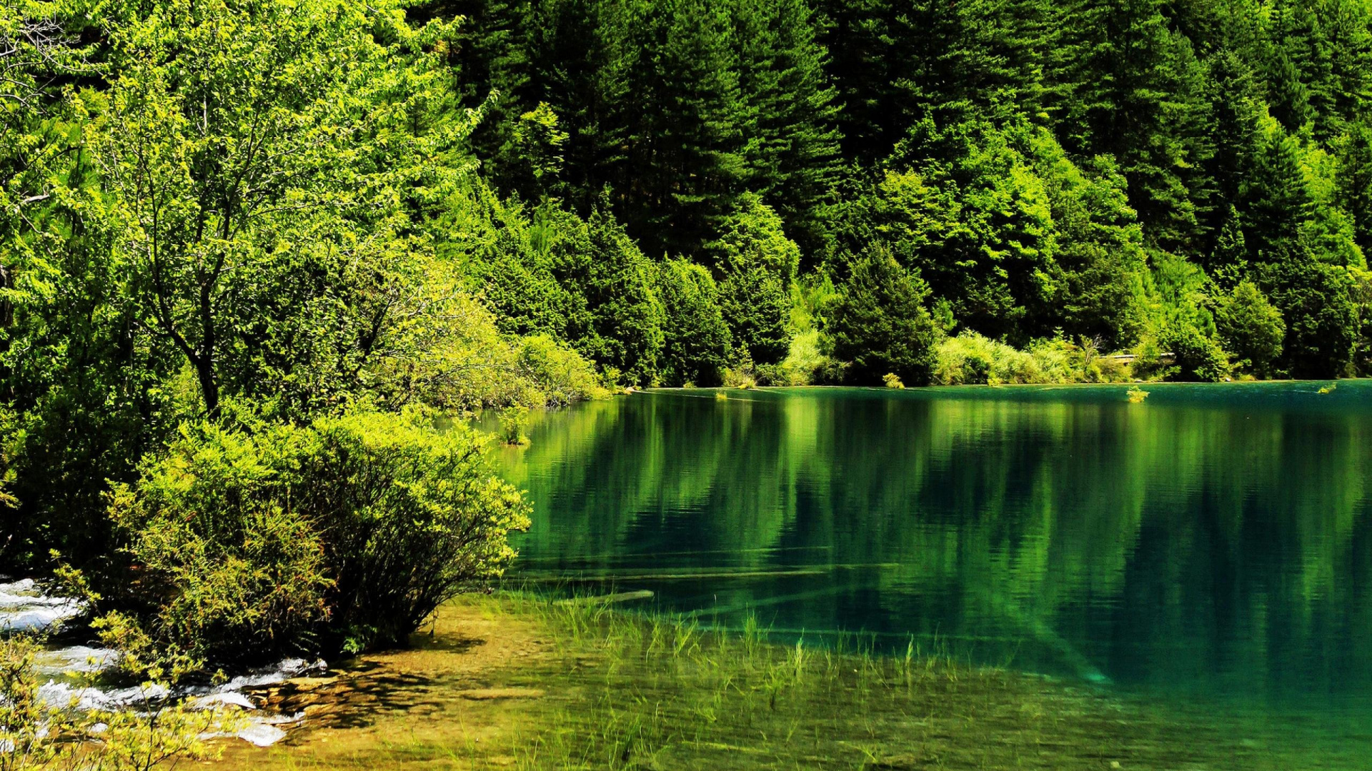 Обои национальный парк, природа, парк, зеленый, вода в разрешении 1920x1080