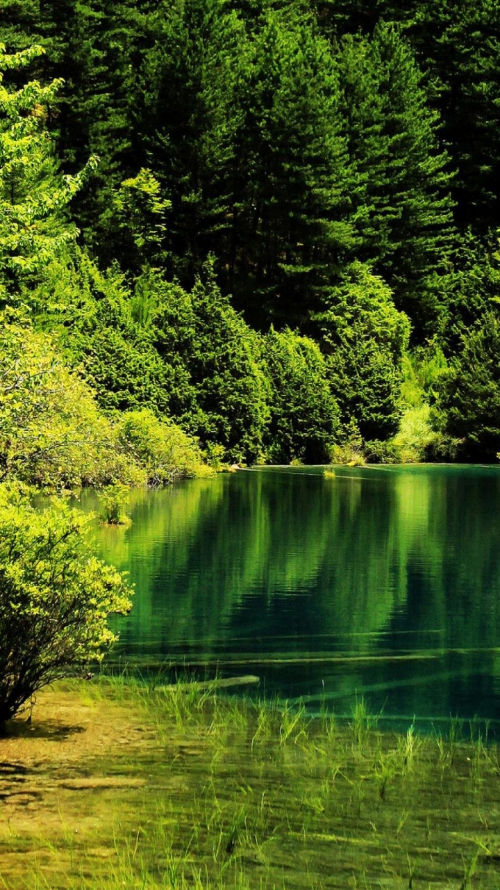Обои национальный парк, природа, парк, зеленый, вода в разрешении 720x1280