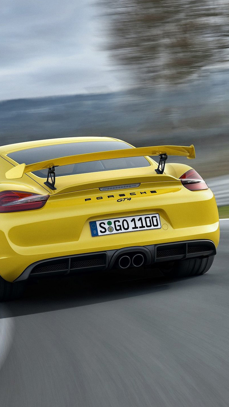 Обои porsche 911 gt3, Порше, спорткар, авто, 2016 Porsche Cayman GT4 в разрешении 750x1334
