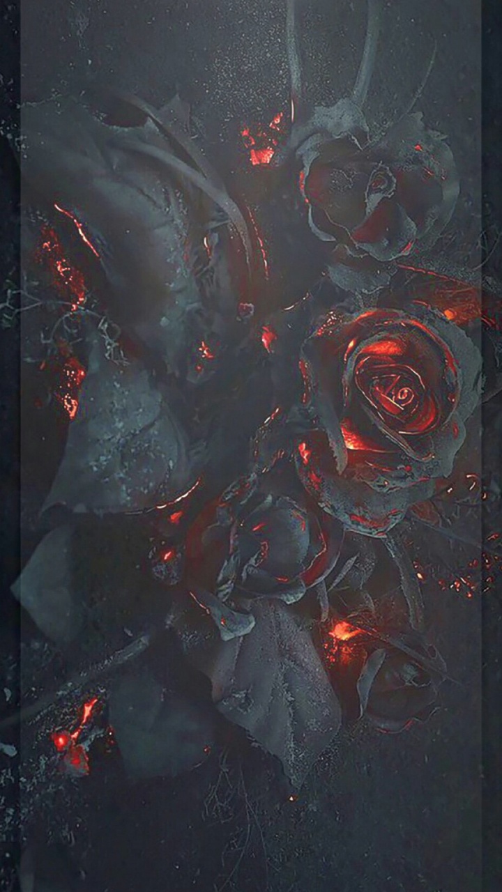 Обои живопись, визуальное искусство, арт, растение, космос в разрешении 720x1280