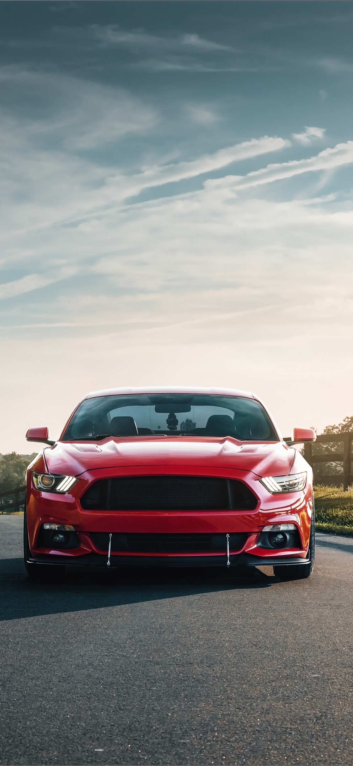 Обои Форд Мустанг, 2019 Форд Мустанг, компания Ford, авто, ford в разрешении 1125x2436