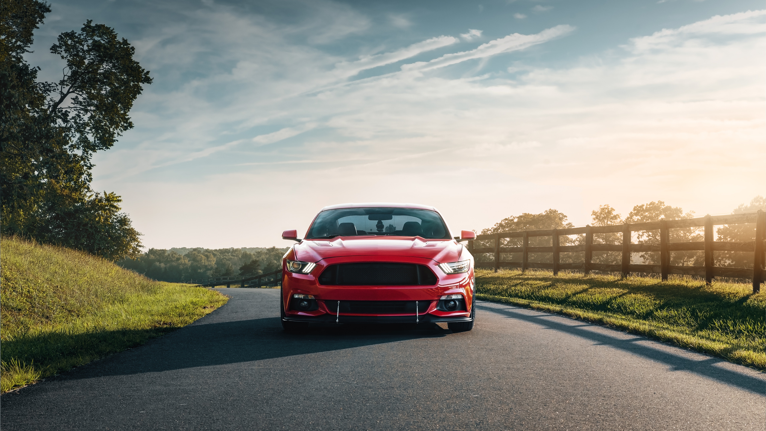 Обои Форд Мустанг, 2019 Форд Мустанг, компания Ford, авто, ford в разрешении 2560x1440