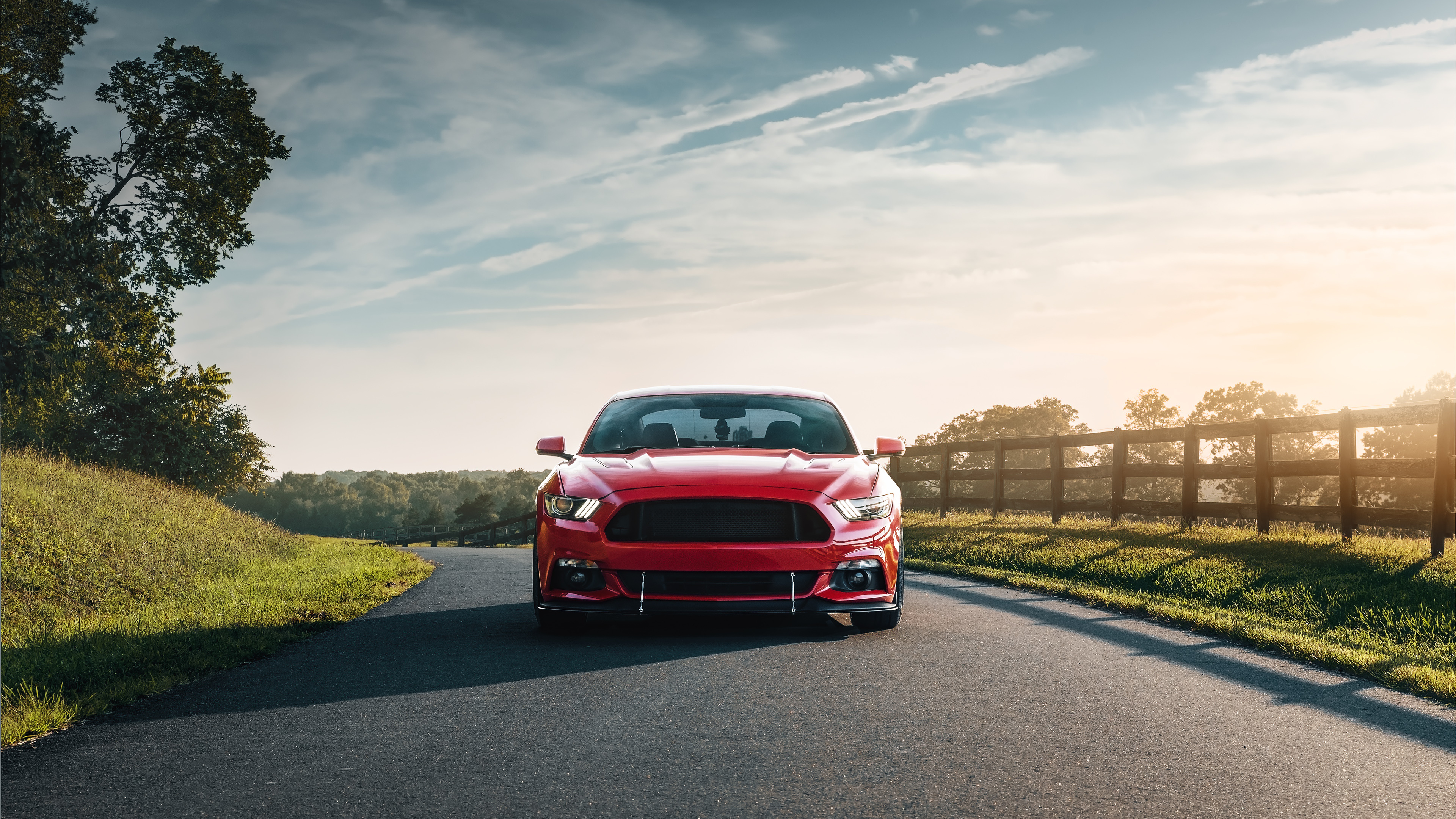 Обои Форд Мустанг, 2019 Форд Мустанг, компания Ford, авто, ford в разрешении 3840x2160