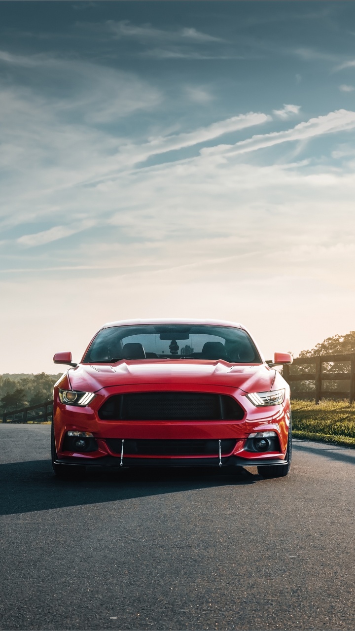 Обои Форд Мустанг, 2019 Форд Мустанг, компания Ford, авто, ford в разрешении 720x1280