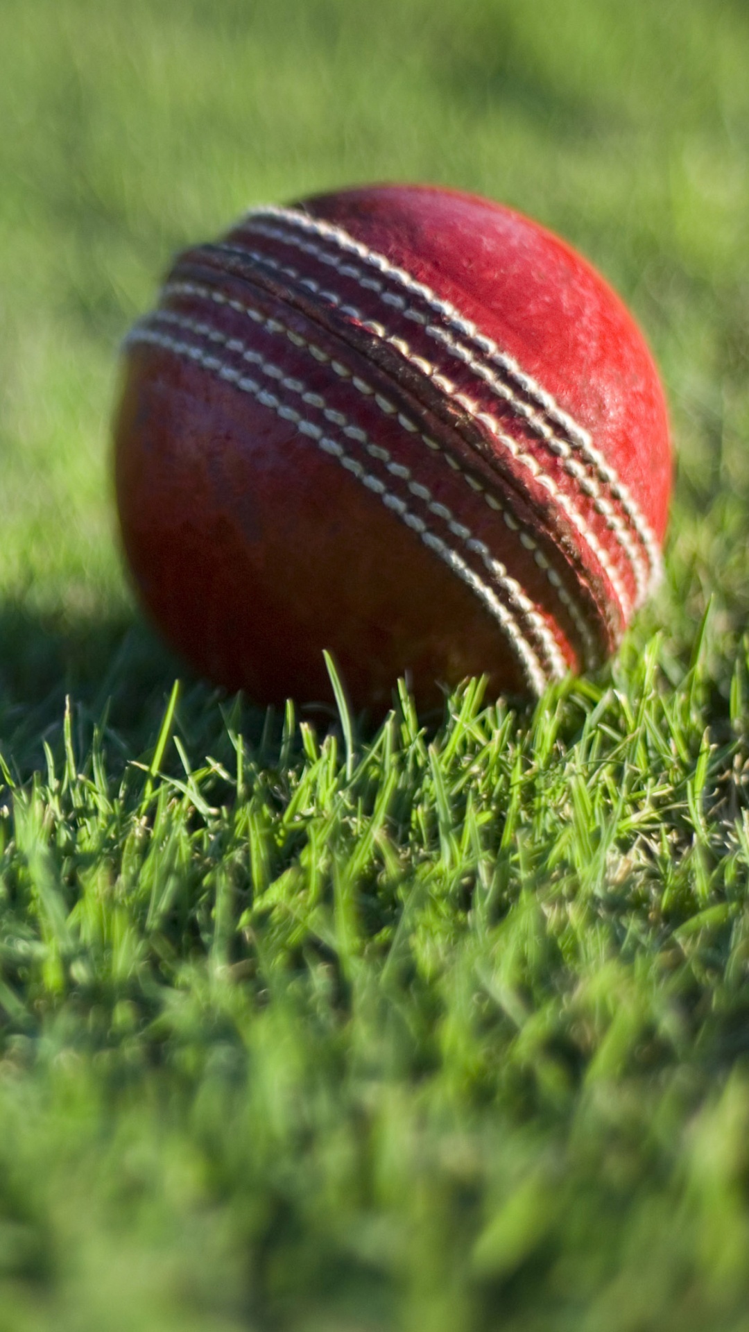 Обои крикет, Крикет мяч, мяч, игра с мячом, занятие спортом в разрешении 1080x1920