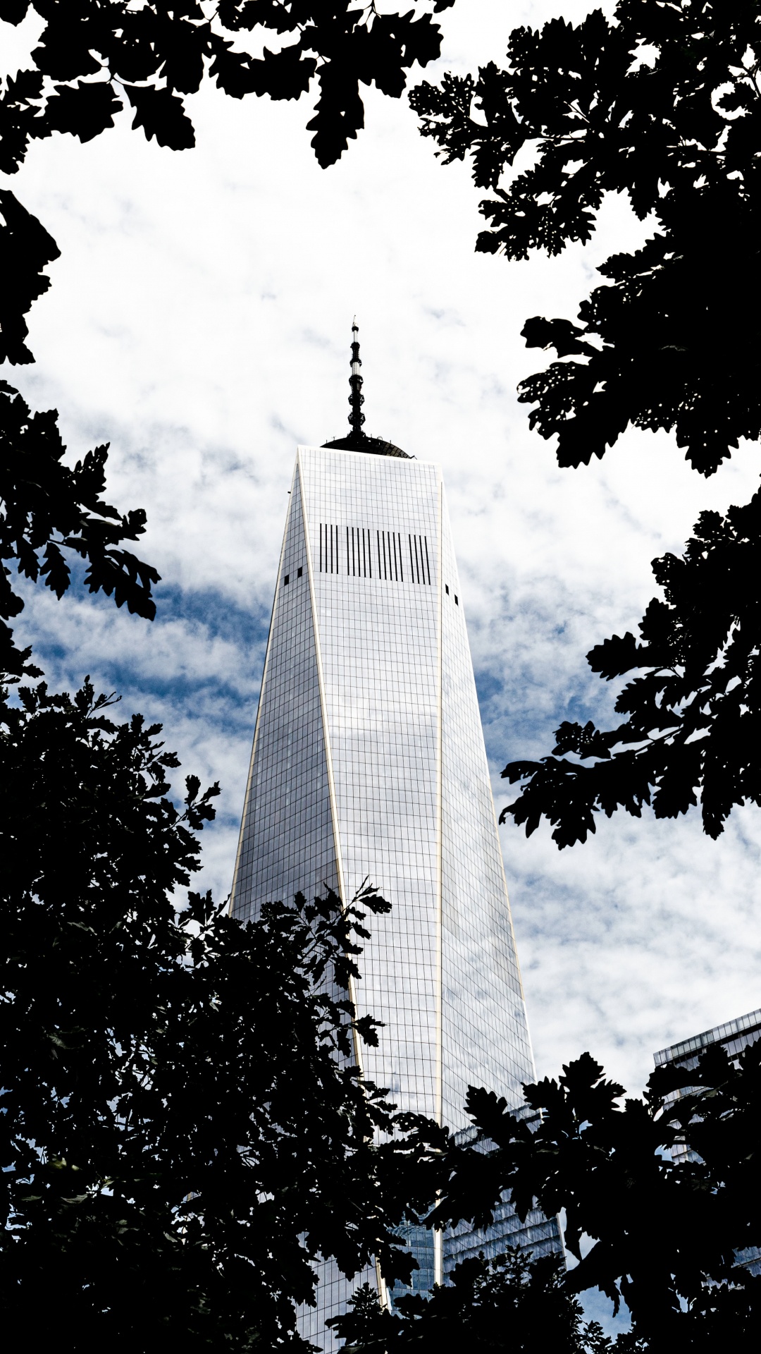 Обои небоскреб, архитектура, ориентир, вышка, белые в разрешении 1080x1920