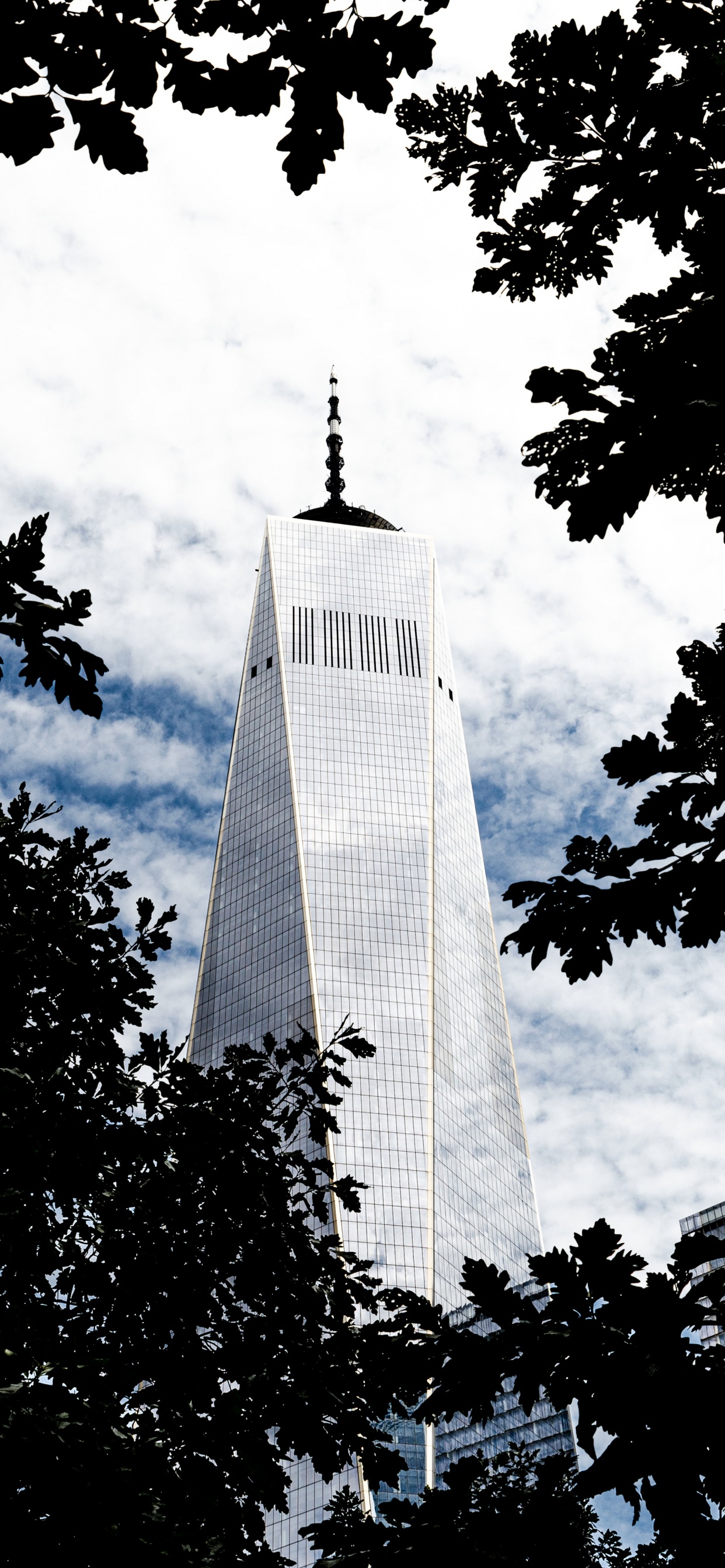 Обои небоскреб, архитектура, ориентир, вышка, белые в разрешении 1242x2688