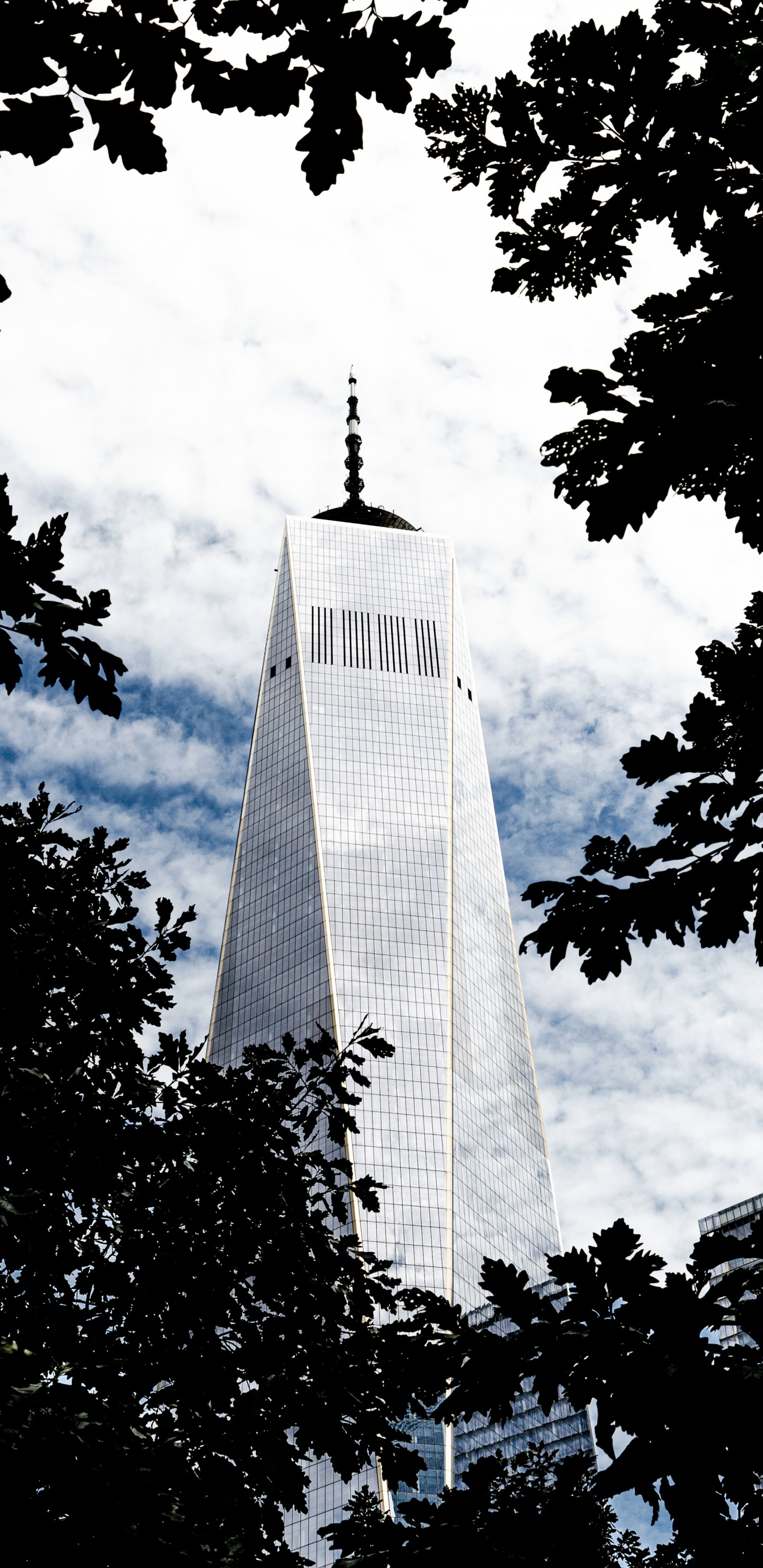 Обои небоскреб, архитектура, ориентир, вышка, белые в разрешении 1440x2960