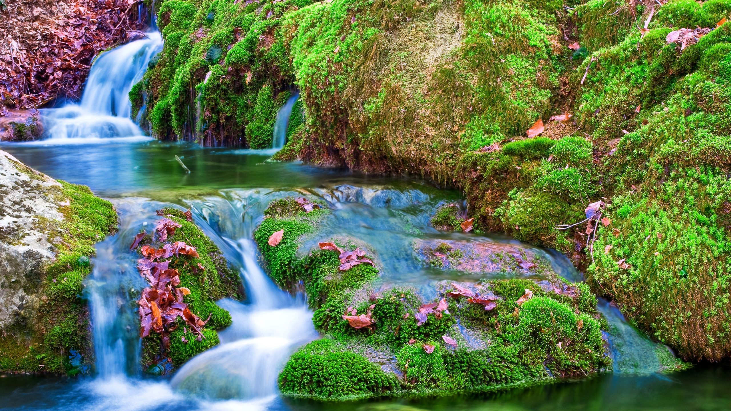 Обои водопад, водоем, гидроресурсы, природа, водоток в разрешении 2560x1440