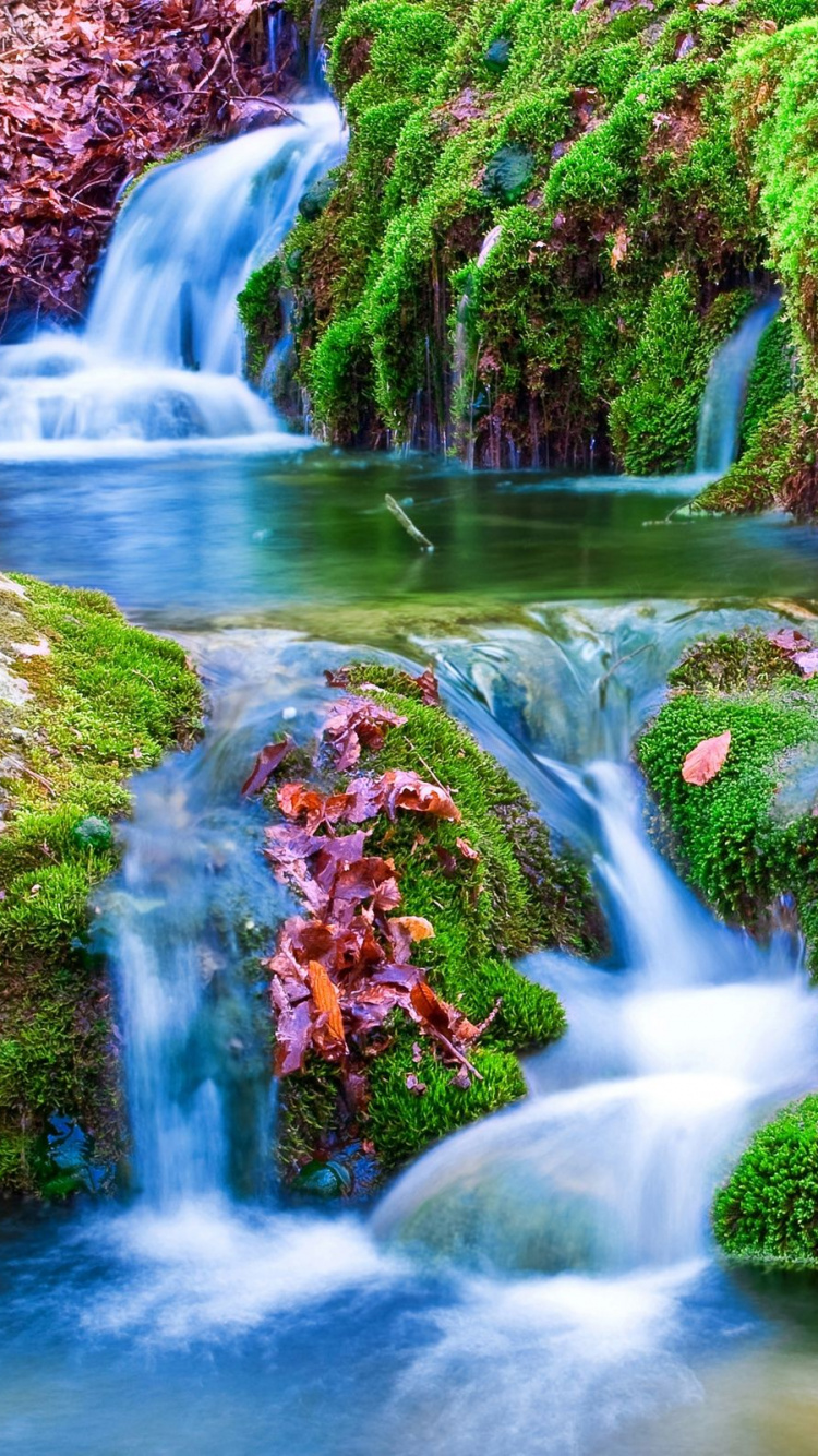 Обои водопад, водоем, гидроресурсы, природа, водоток в разрешении 750x1334