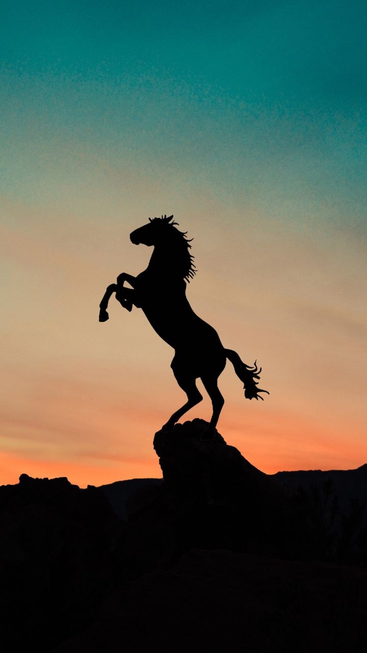 Обои конь, облако, послесвечение, Люди в природе, сумрак в разрешении 720x1280