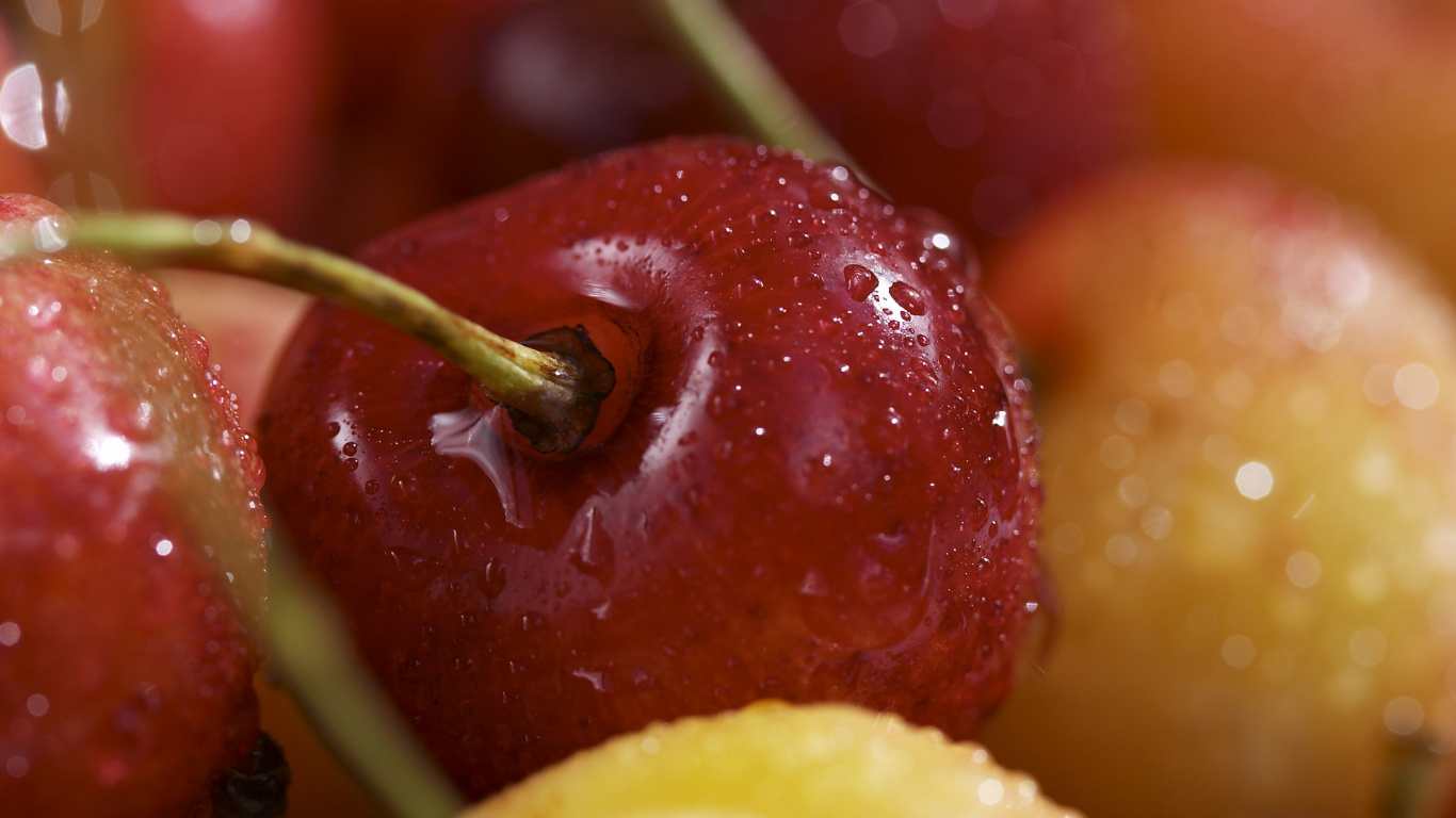 Обои черешня, вишня, ягоды, фрукты, природные продукты в разрешении 1366x768